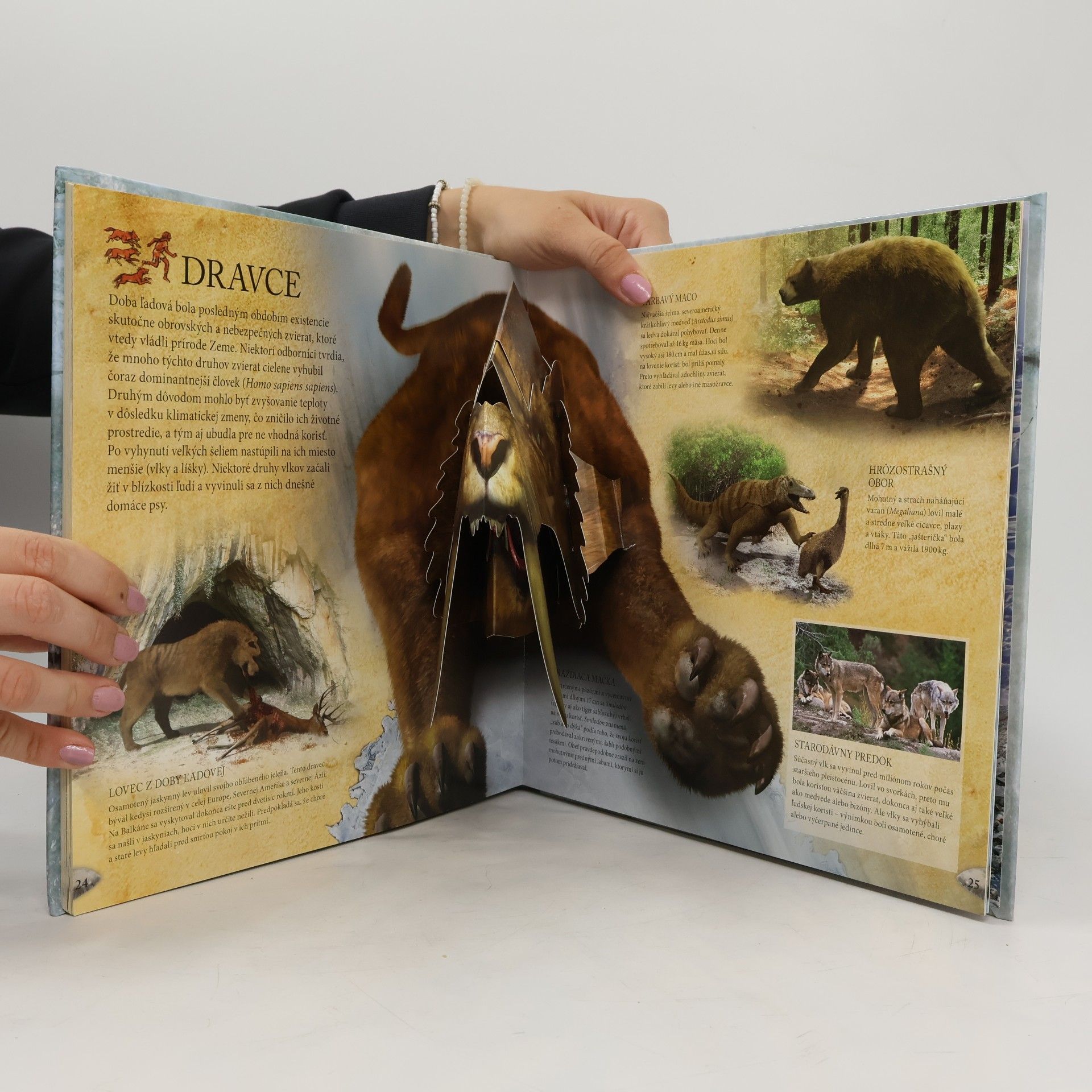 Autorenkollektiv Doba ľadová