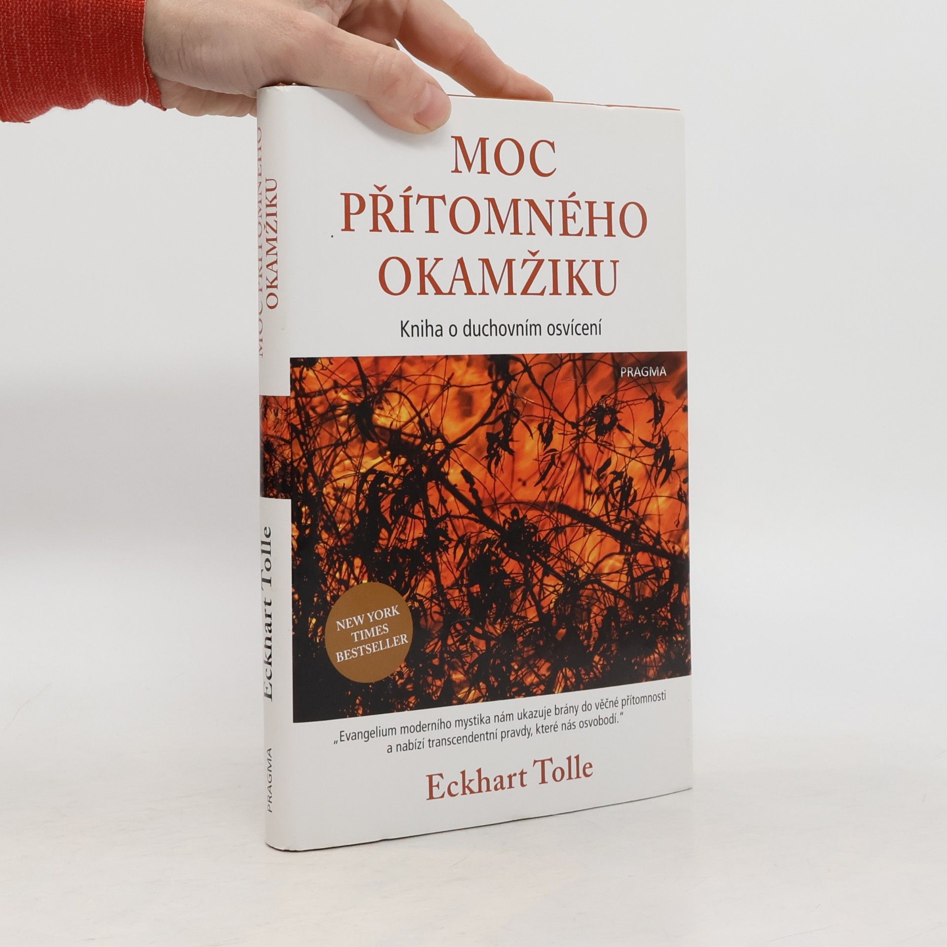 Eckhart Tolle Moc přítomného okamžiku