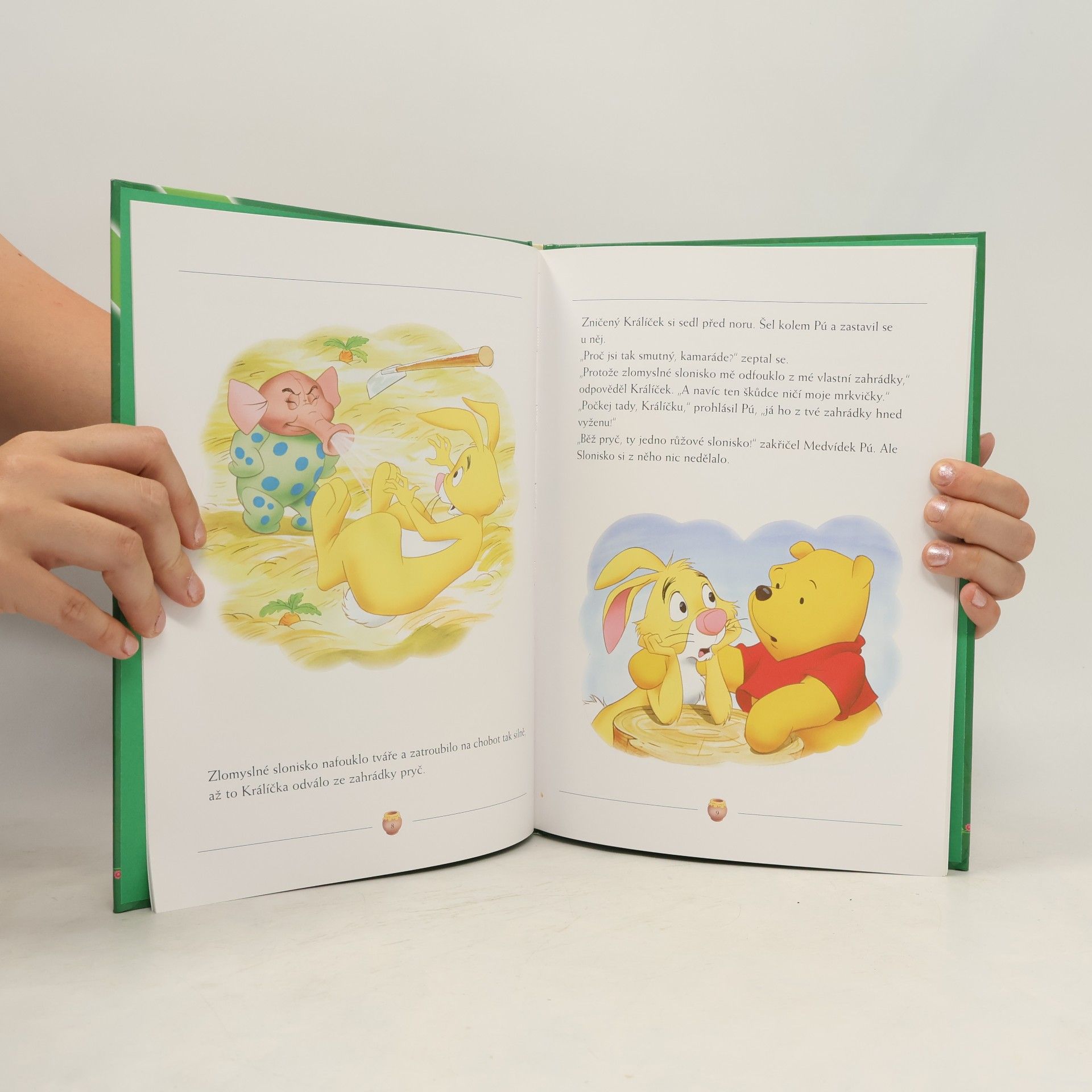 Walt Disney Medvídek Pú - Pohádky ze Stokorcového lesa