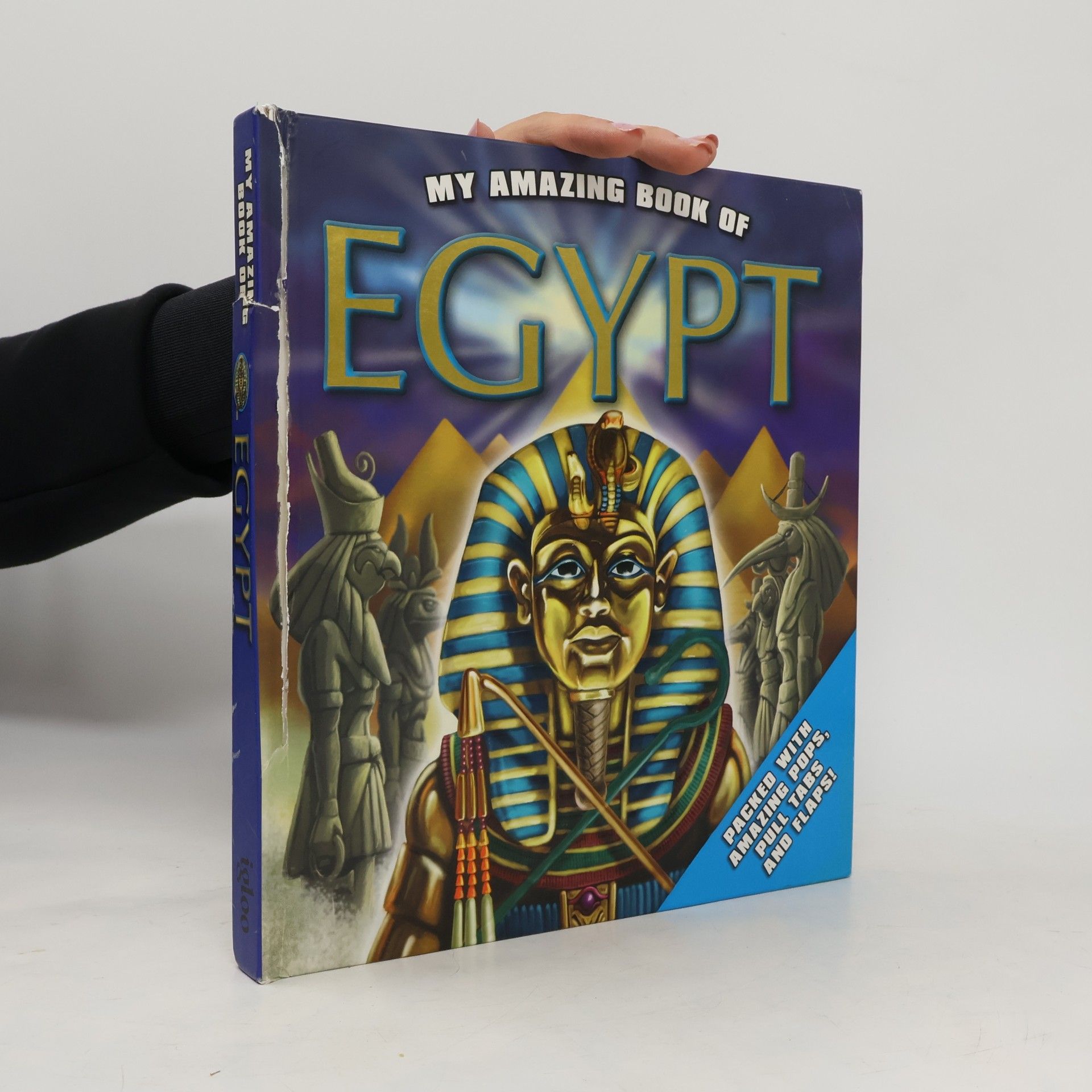 Igloo My Amazing Book of Egypt