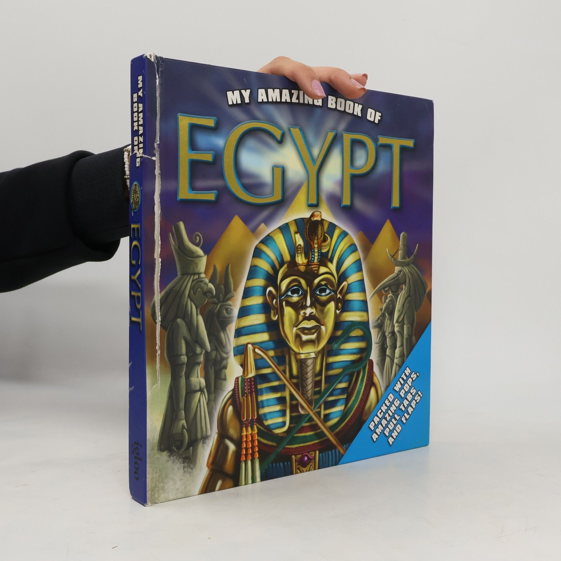Igloo My Amazing Book of Egypt