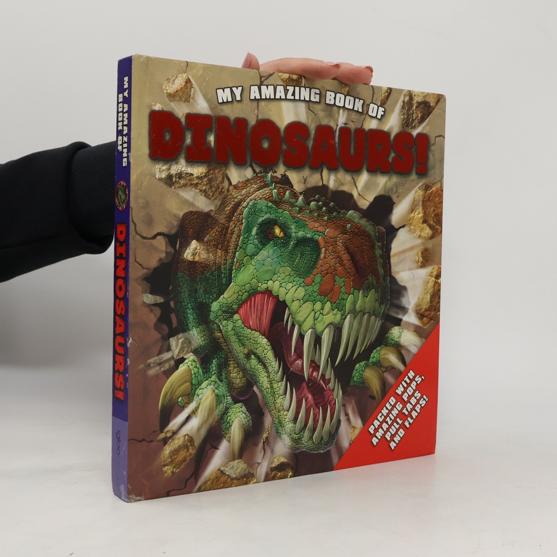 Igloo Books Ltd My Amazing Book of Dinosaurs!