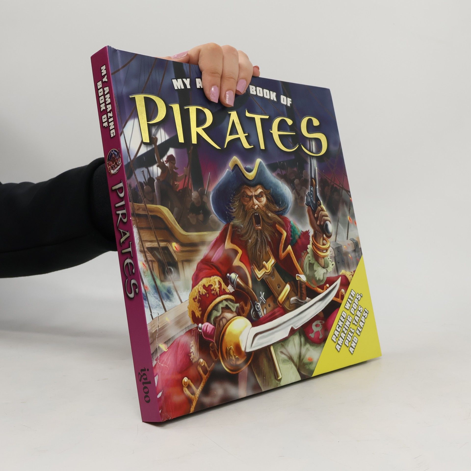 Igloo Books Ltd My Amazing Book of Pirates