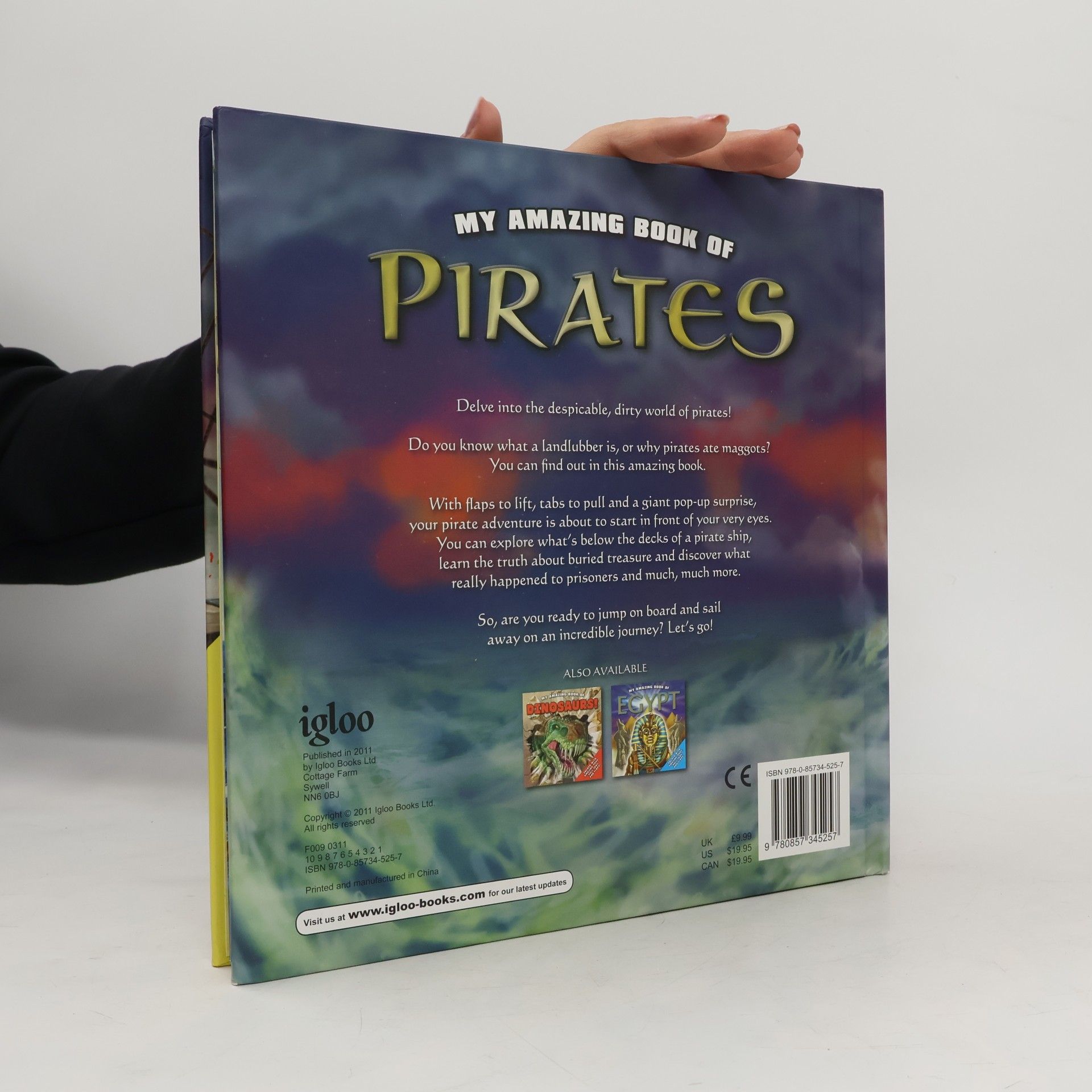 Igloo Books Ltd My Amazing Book of Pirates