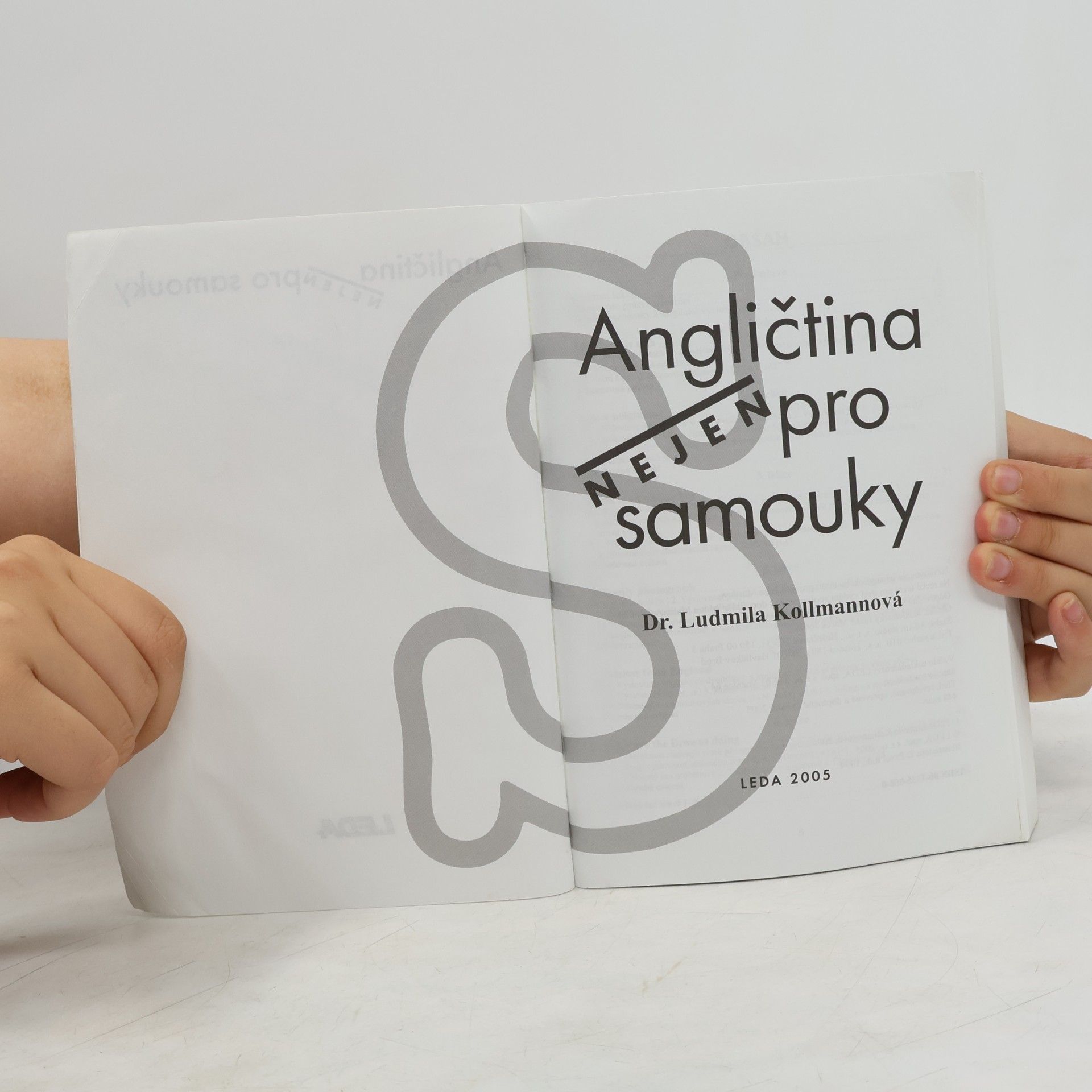 Ludmila Kollmannová Angličtina nejen pro samouky