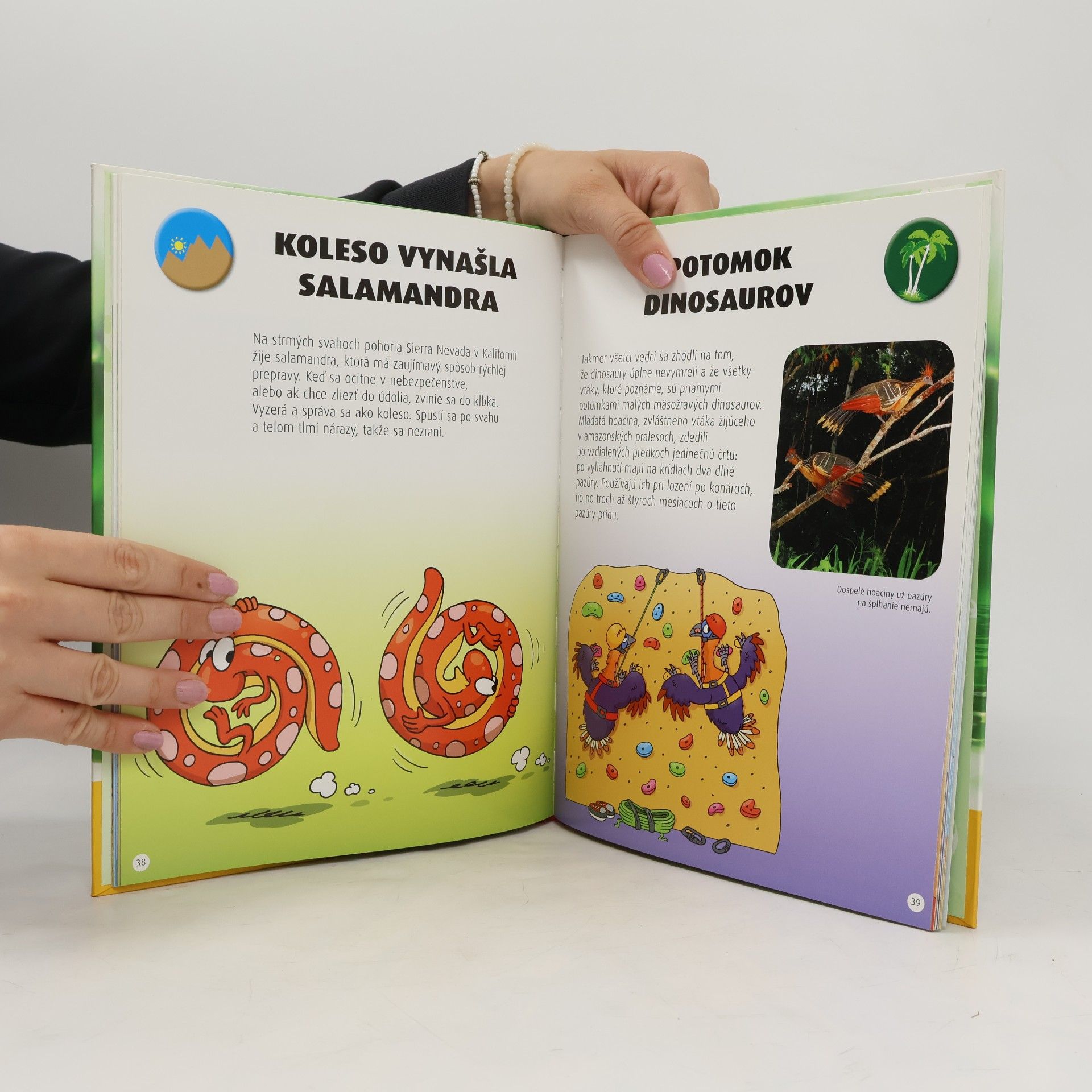 Autorenkollektiv Tomu neuveríš! Záhady zo života zvierat