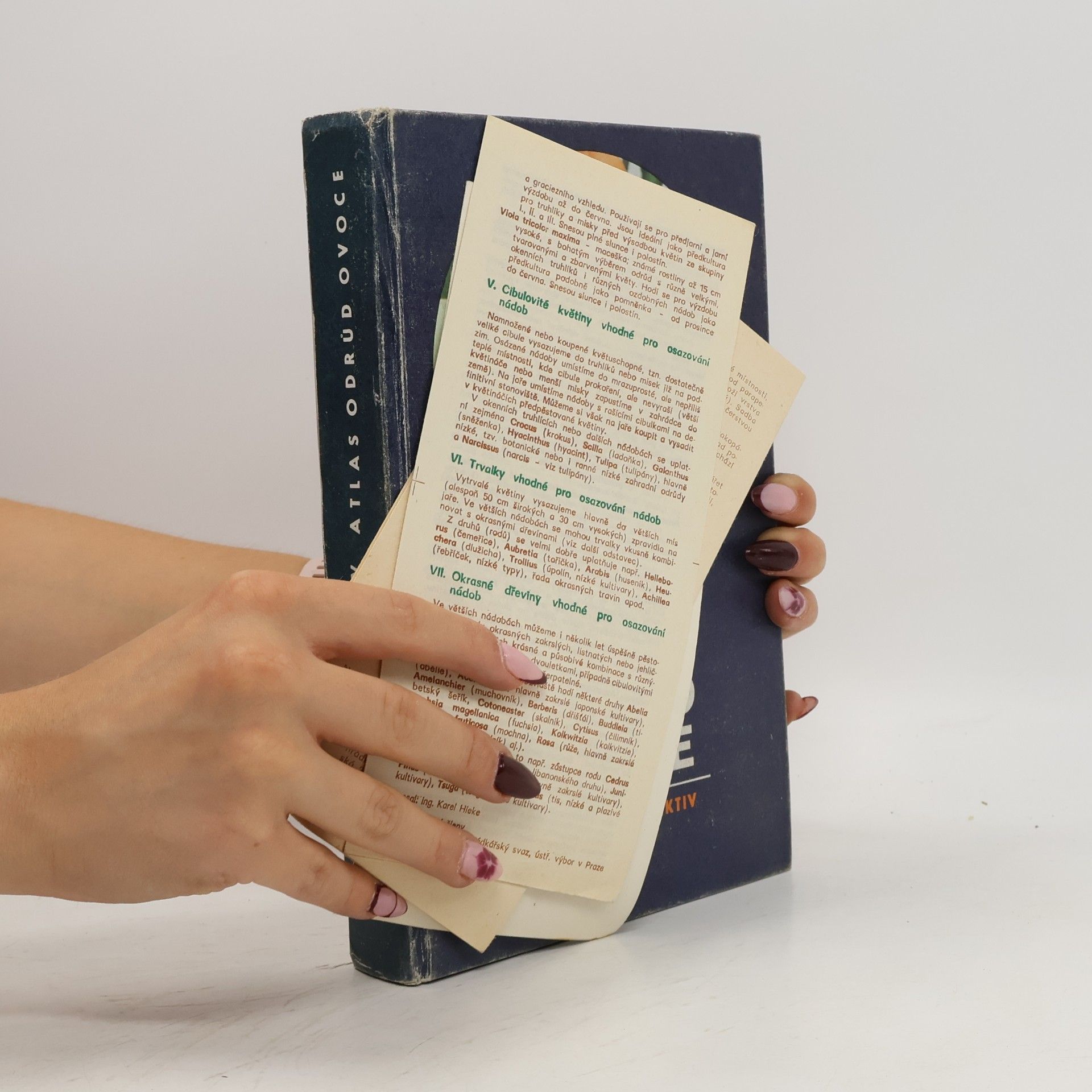 Antonín Dvořák Atlas odrůd ovoce