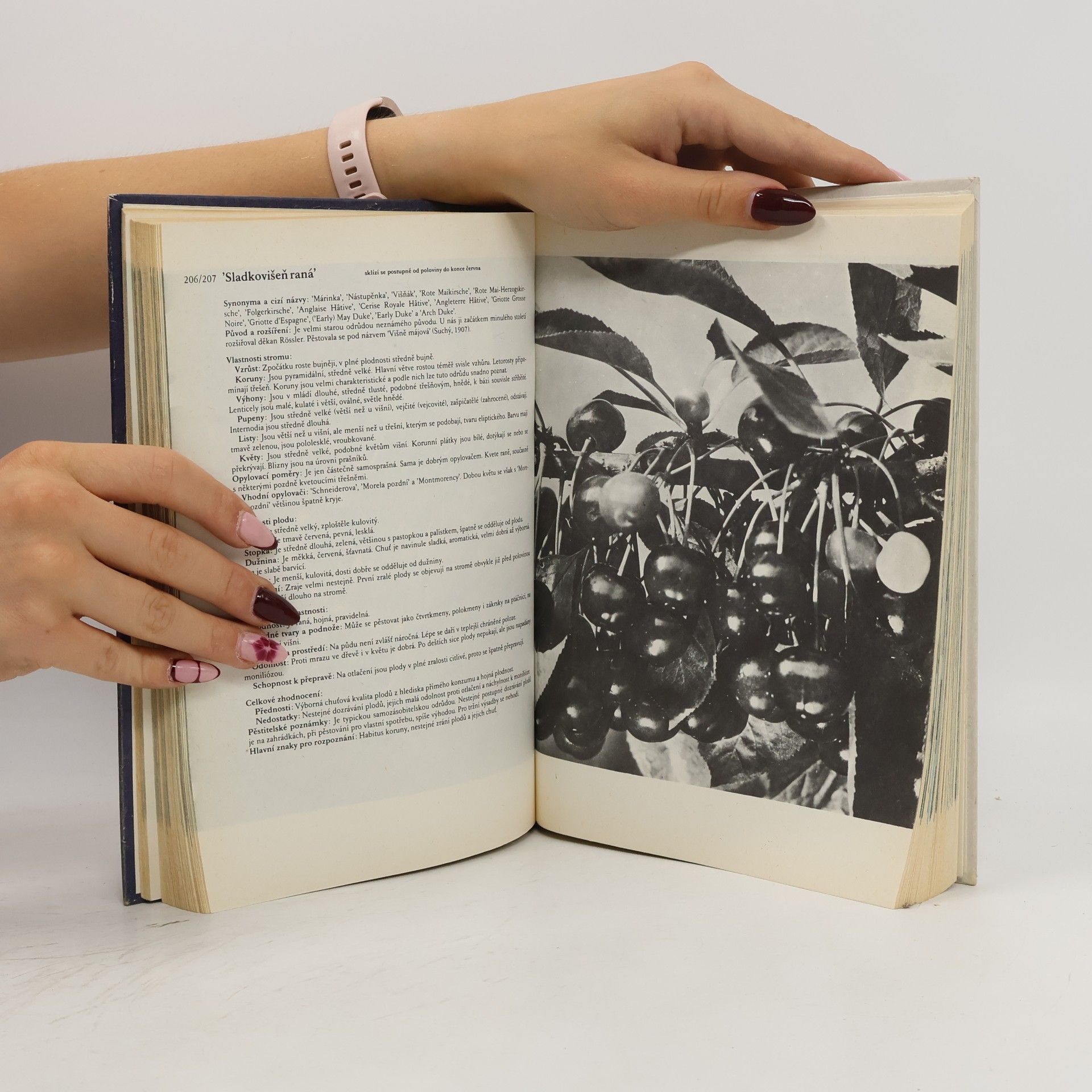 Antonín Dvořák Atlas odrůd ovoce