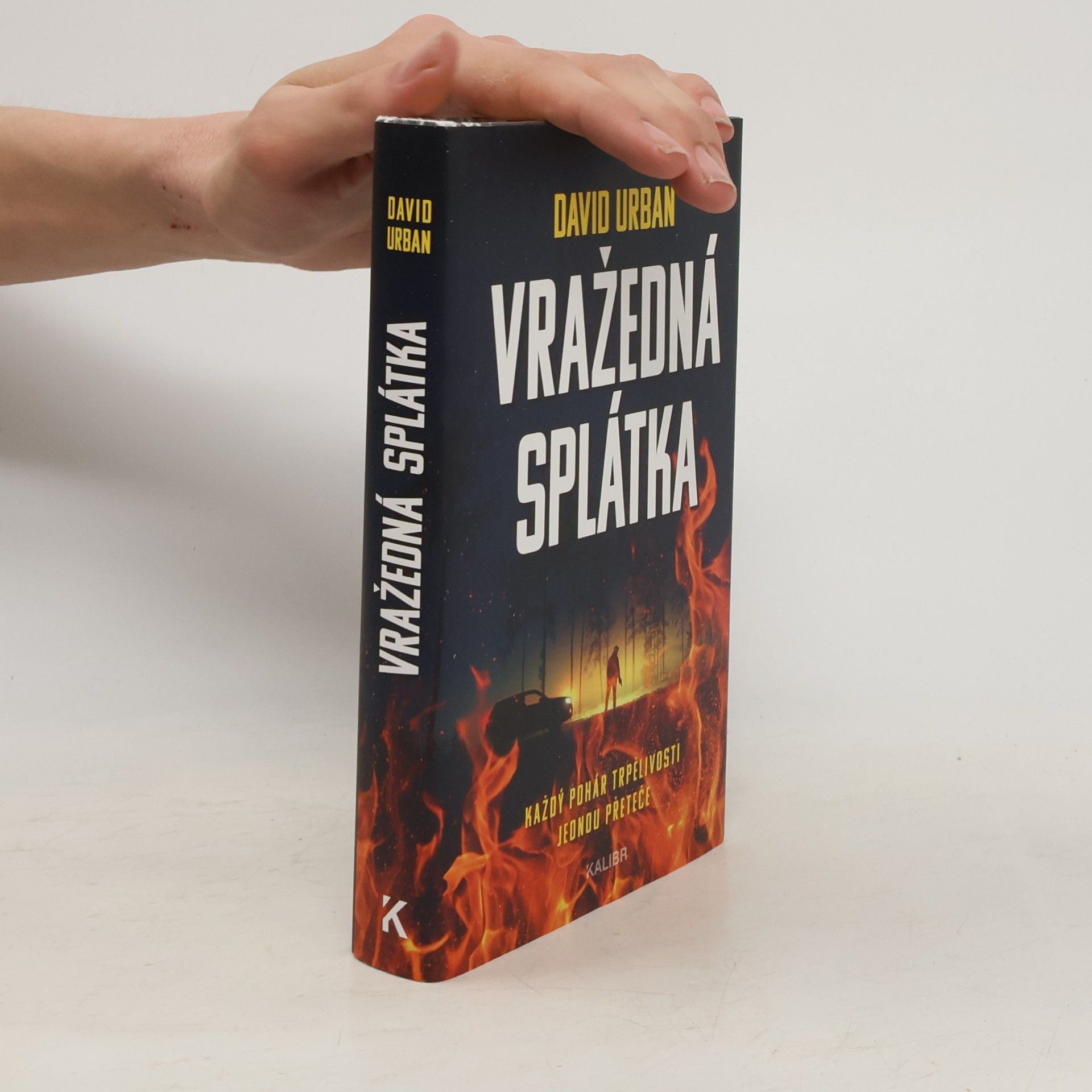 David Urban Vražedná splátka