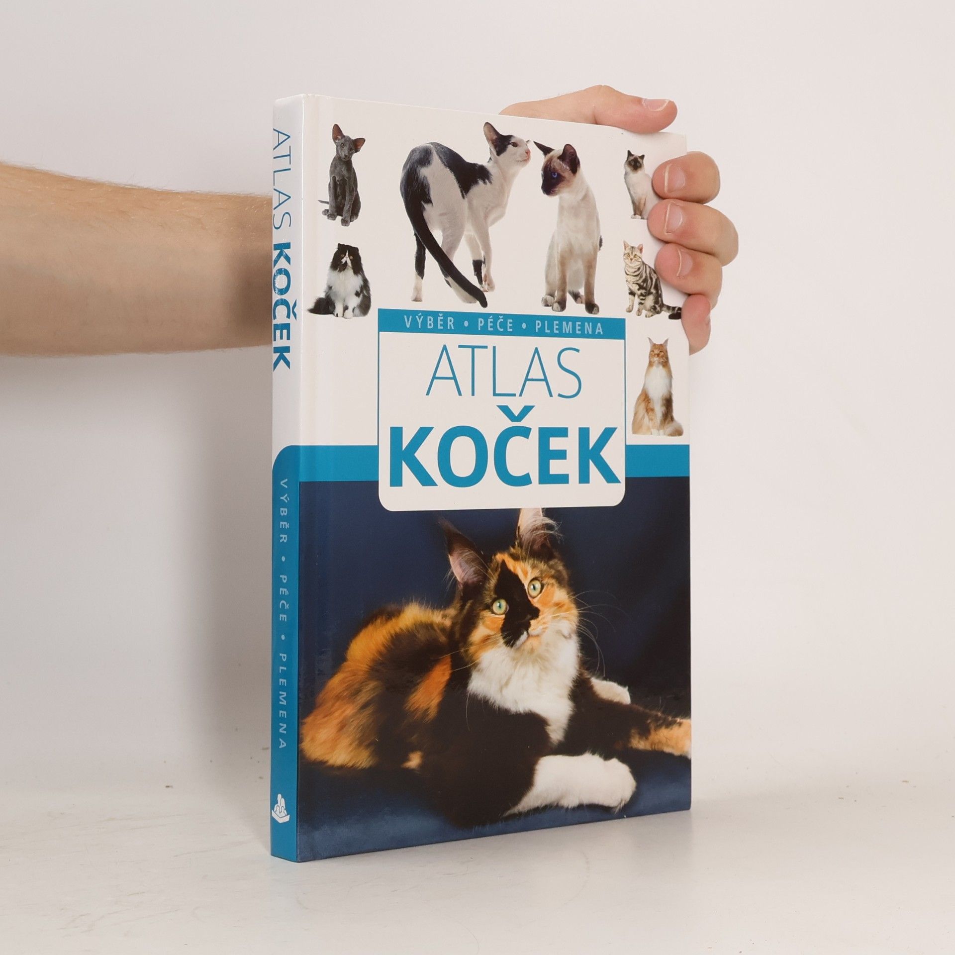 Autorenkollektiv Atlas koček : výběr, péče, plemena