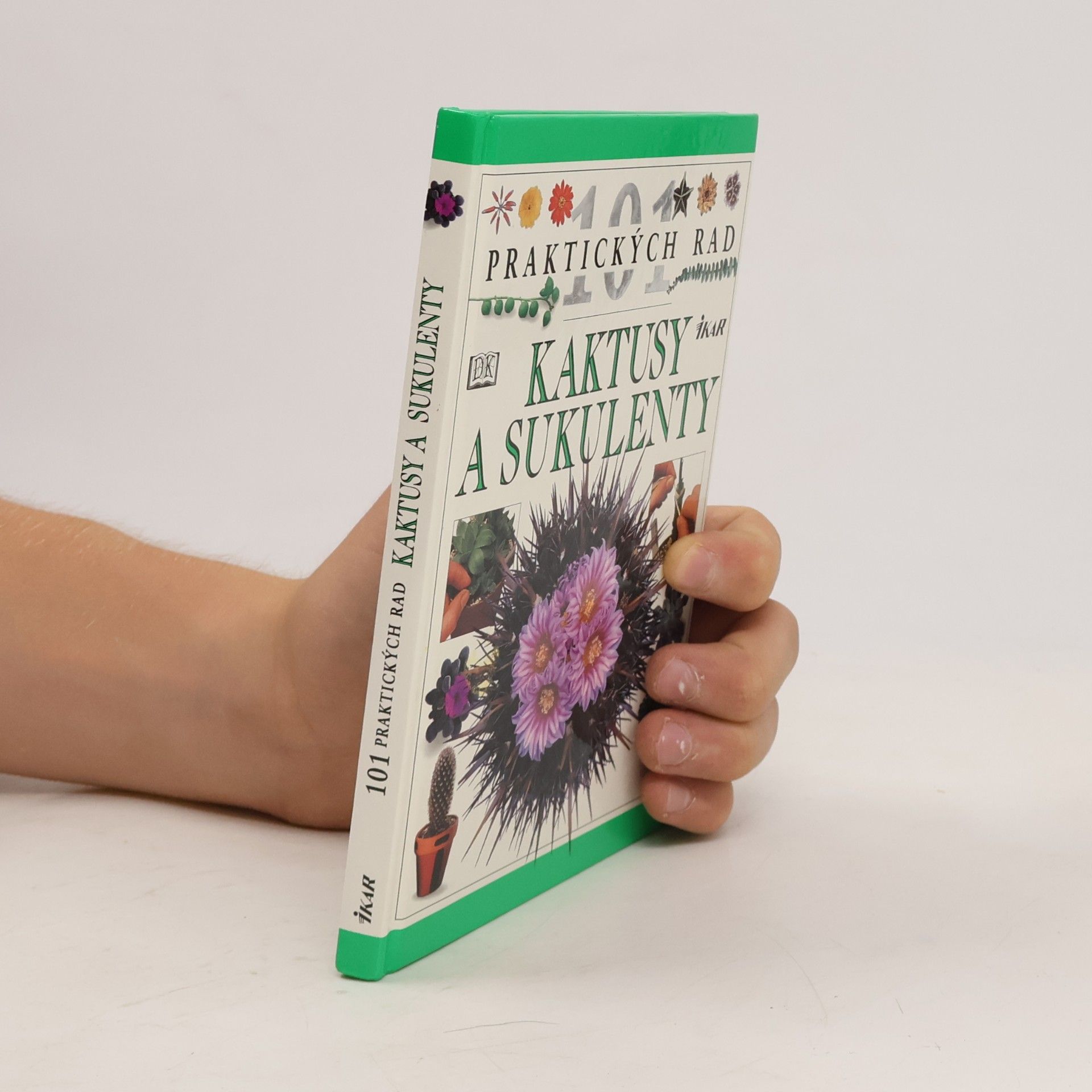 Terry Hewitt Kaktusy a sukulenty