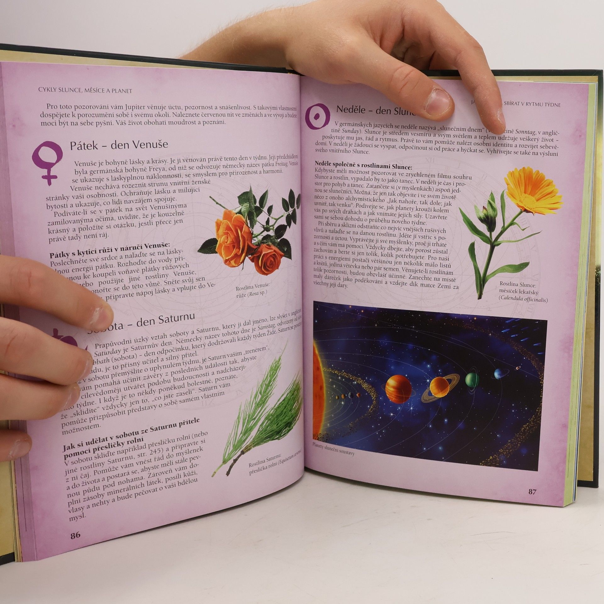 Yvonne H. Koch Astrologie rostlin : léčivá síla rostlin a planet