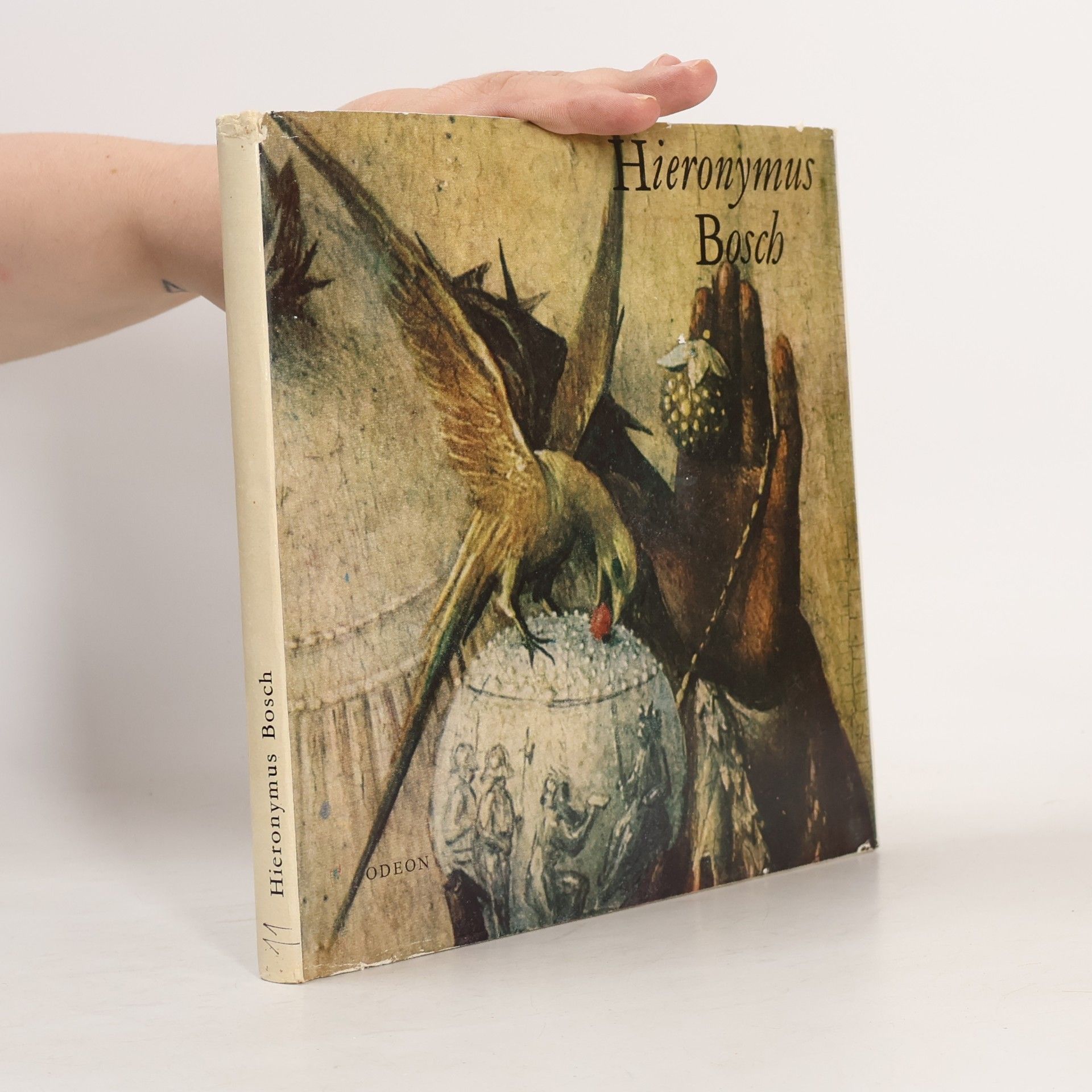 Hana Volavková Hieronymus Bosch