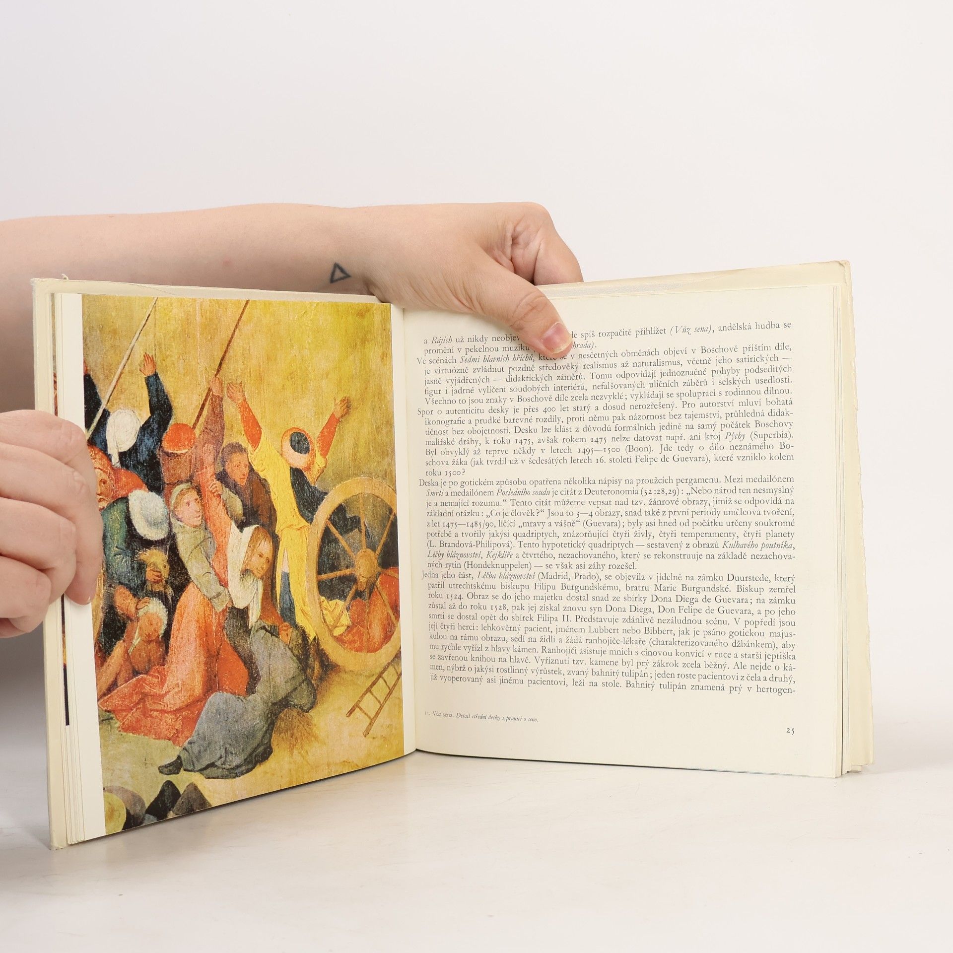 Hana Volavková Hieronymus Bosch