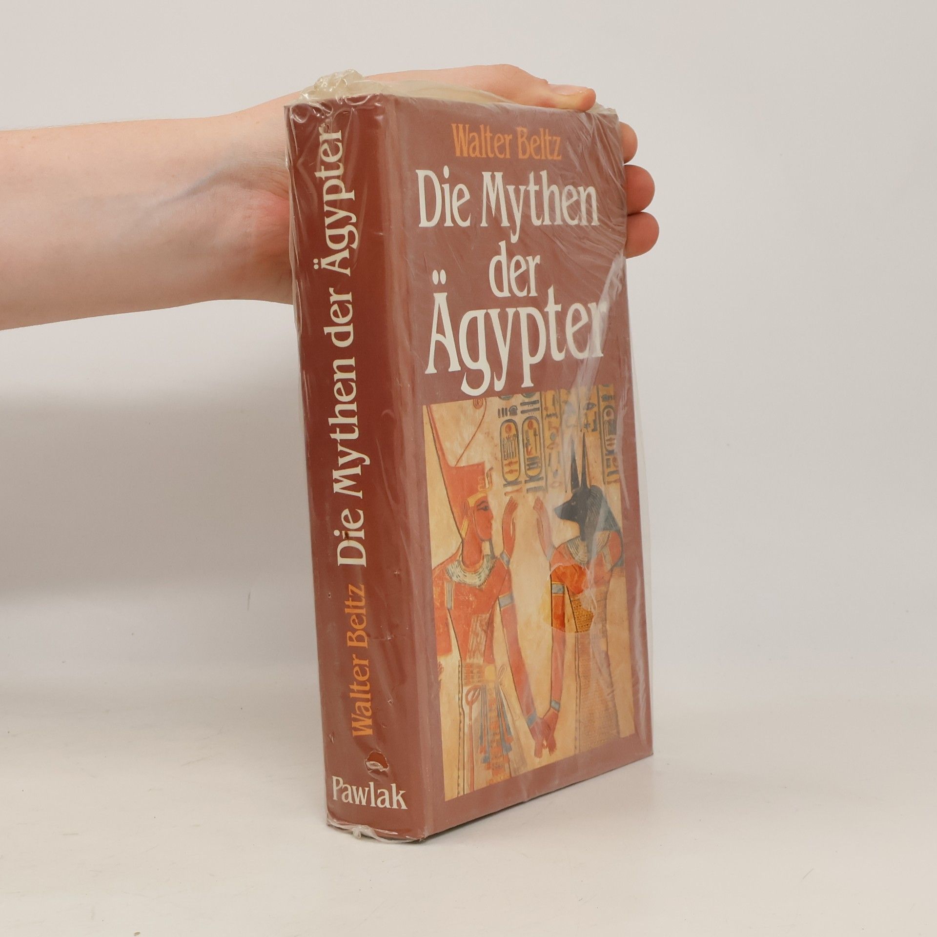 Walter Beltz Die Mythen der Ägypter