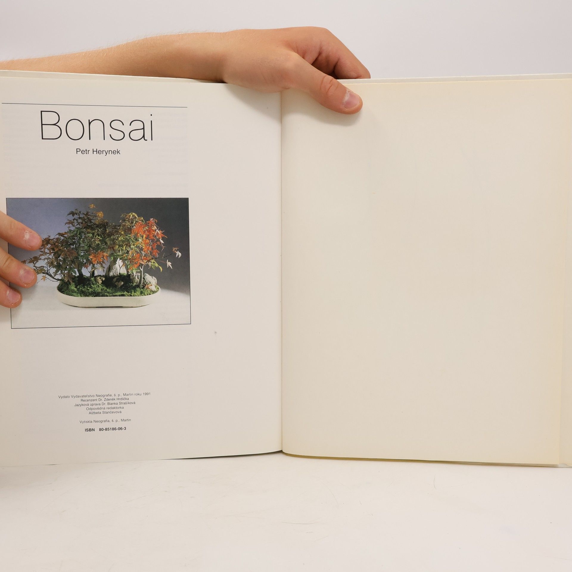Petr Herynek Bonsai