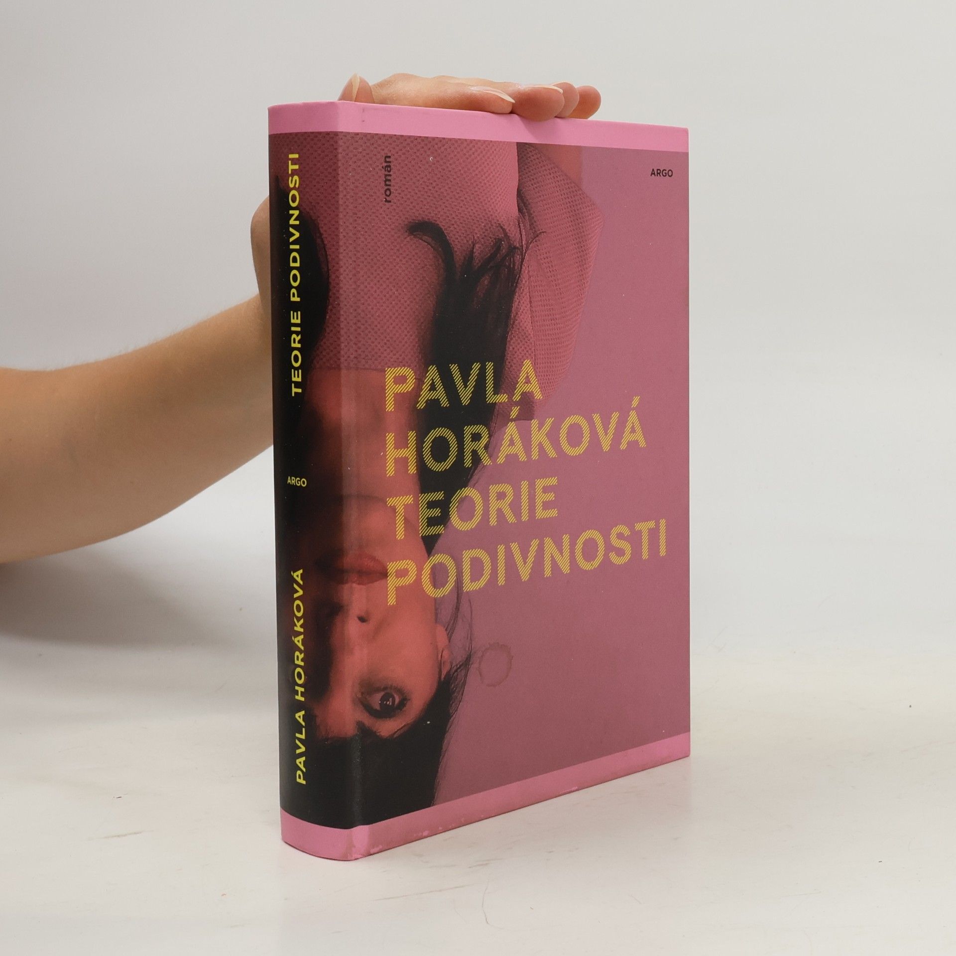Pavla Horáková Teorie podivnosti