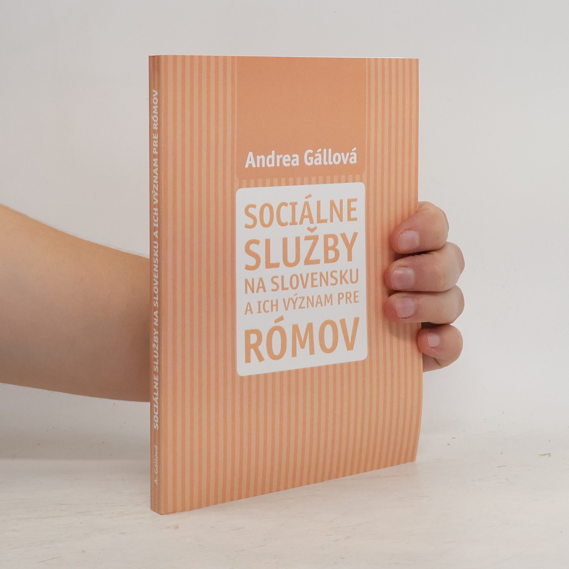 Andreas Gall Sociálne služby na Slovensku a ich význam pre Rómov