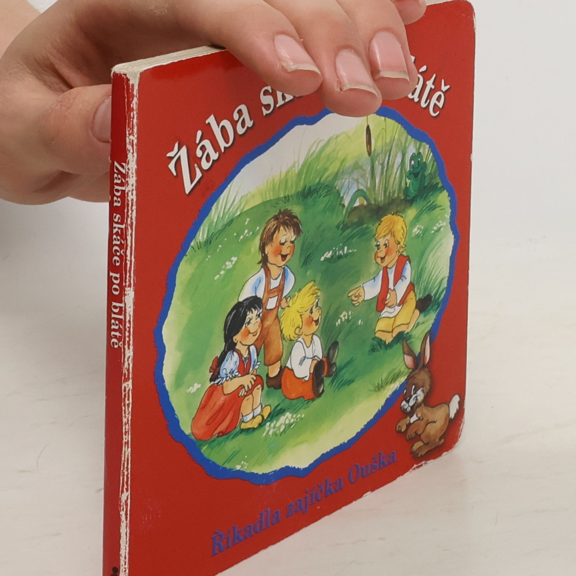 kolektiv Žába skáče po bláte