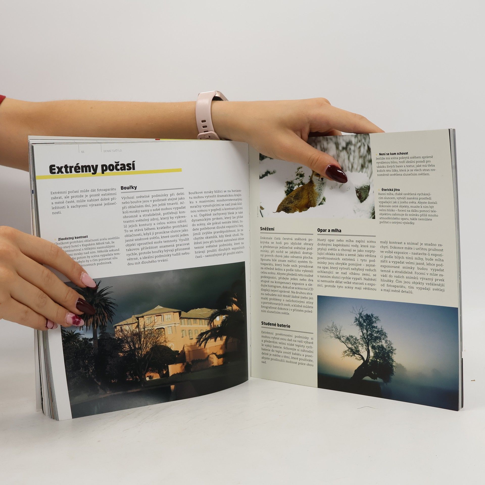 Michael Freeman Světlo a svícení - Fotografie v praxi