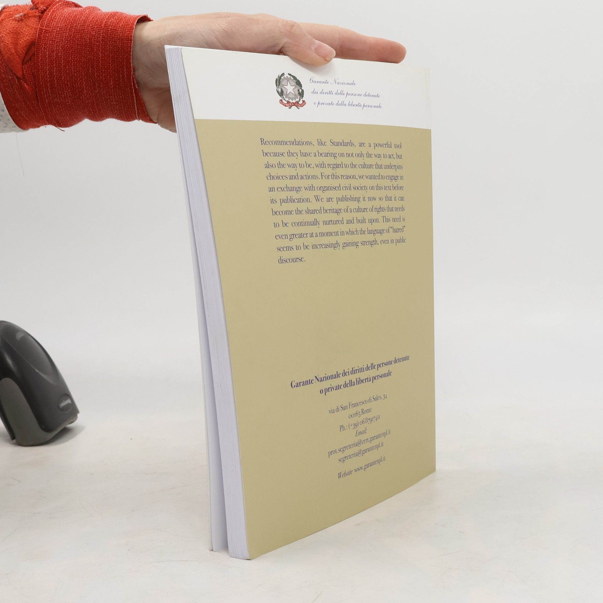 Autorenkollektiv Norms and Normativity: Standards for the deprivation of liberty of migrants
