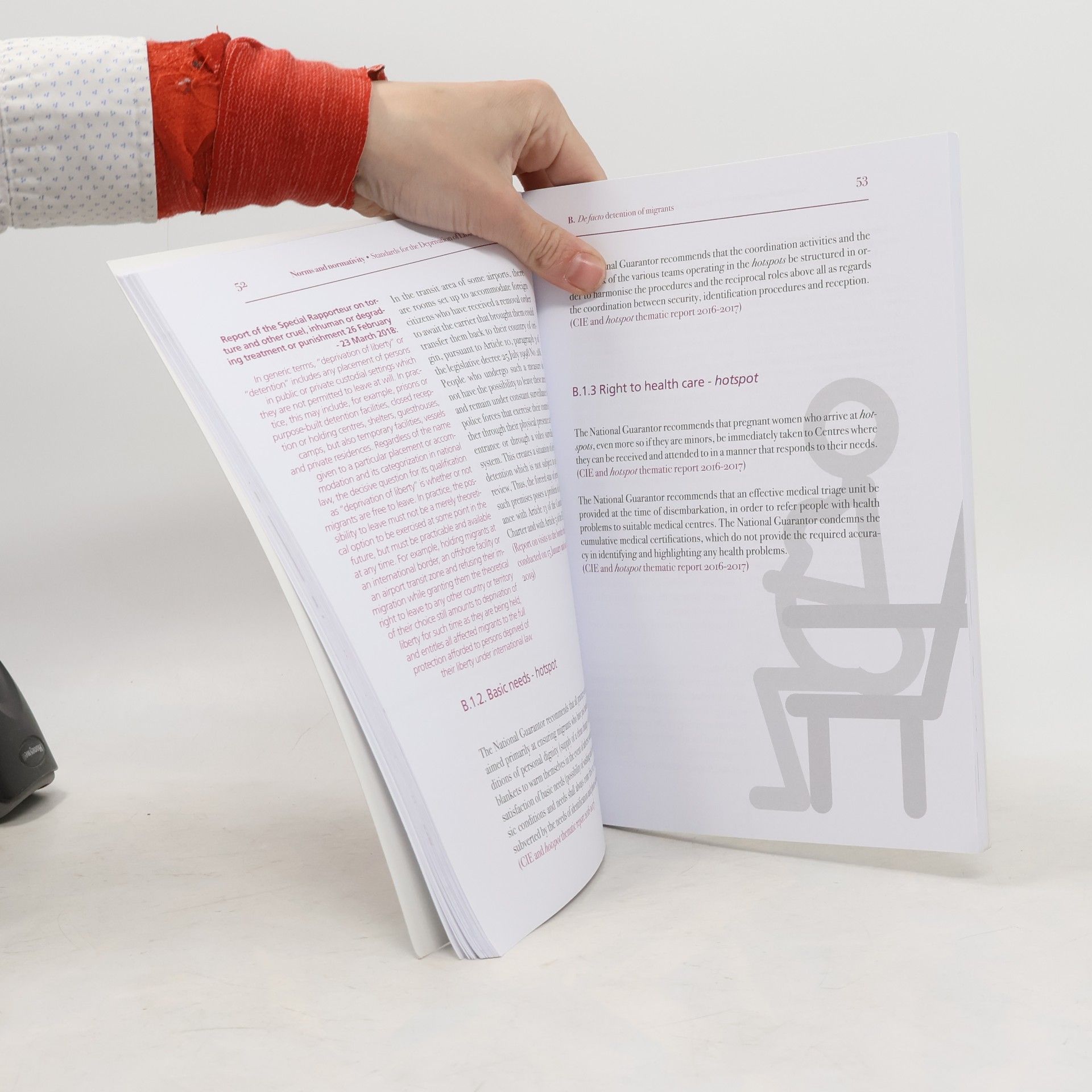 Autorenkollektiv Norms and Normativity: Standards for the deprivation of liberty of migrants