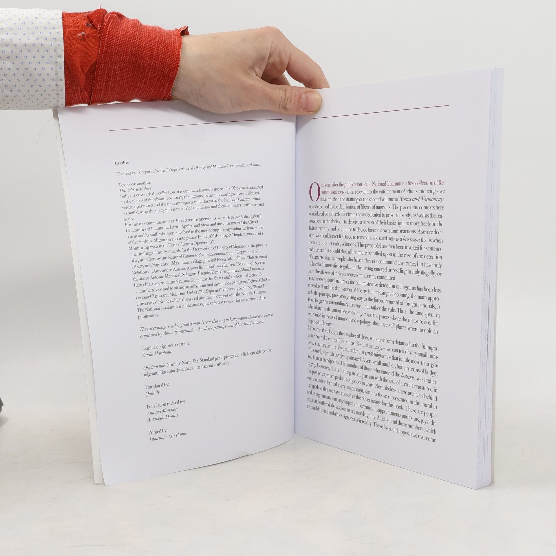 Autorenkollektiv Norms and Normativity: Standards for the deprivation of liberty of migrants