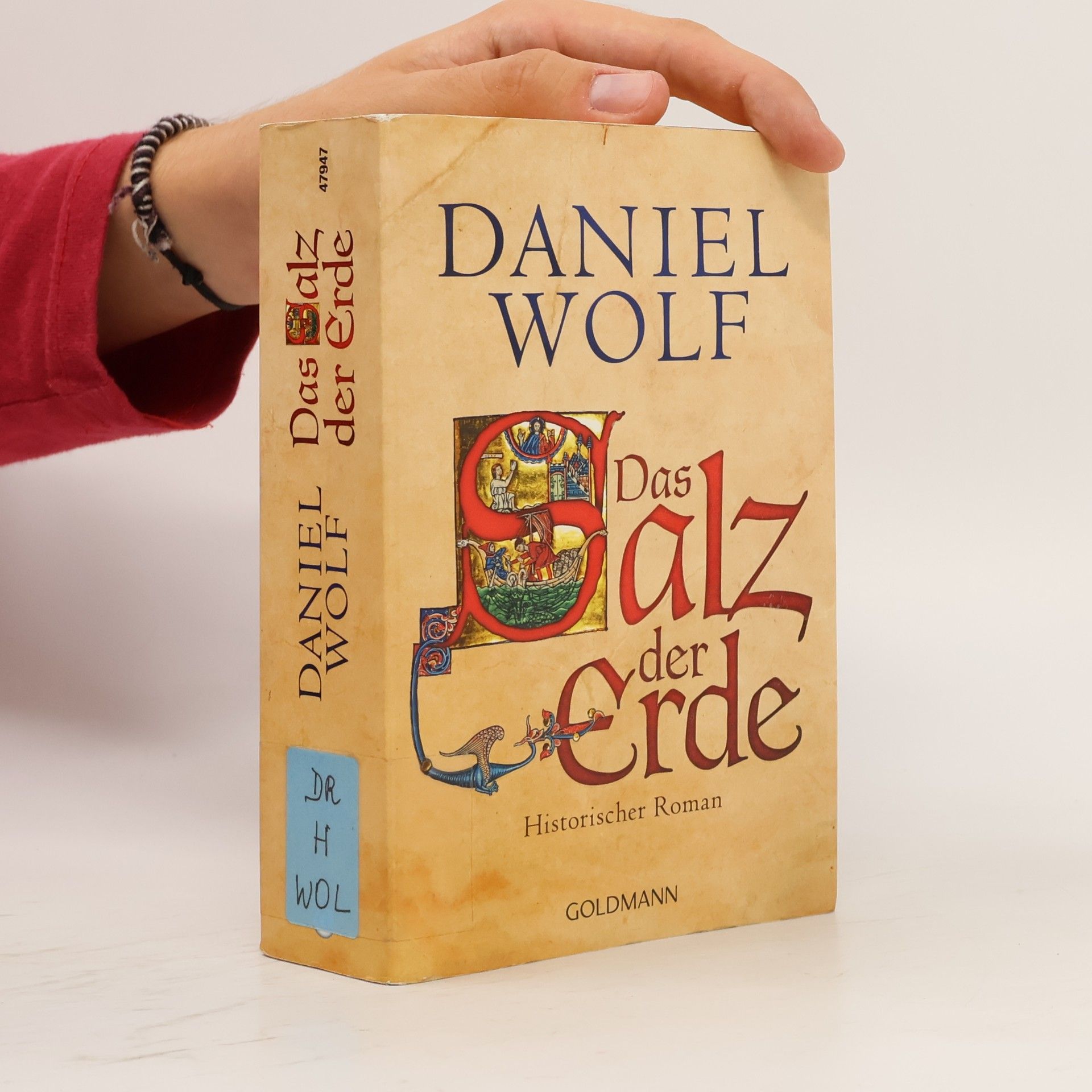Daniel Wolf Das Salz der Erde : historischer Roman