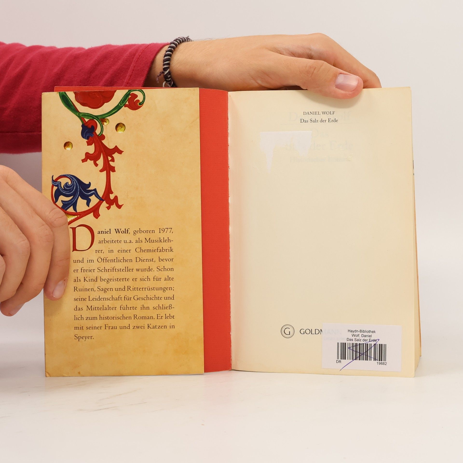 Daniel Wolf Das Salz der Erde : historischer Roman