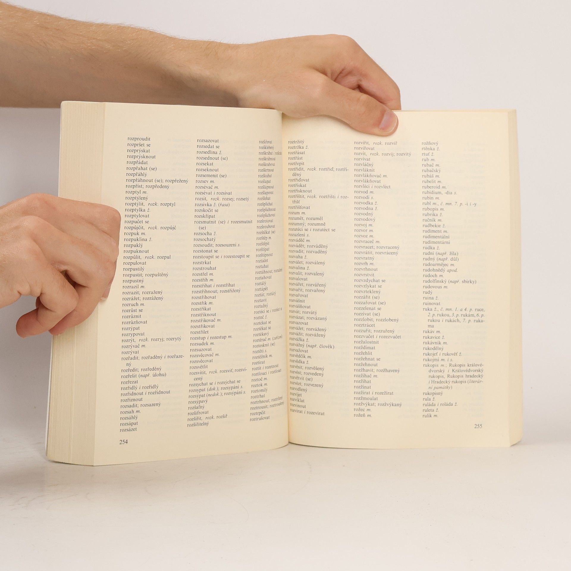 Autorenkollektiv Pravidla českého pravopisu