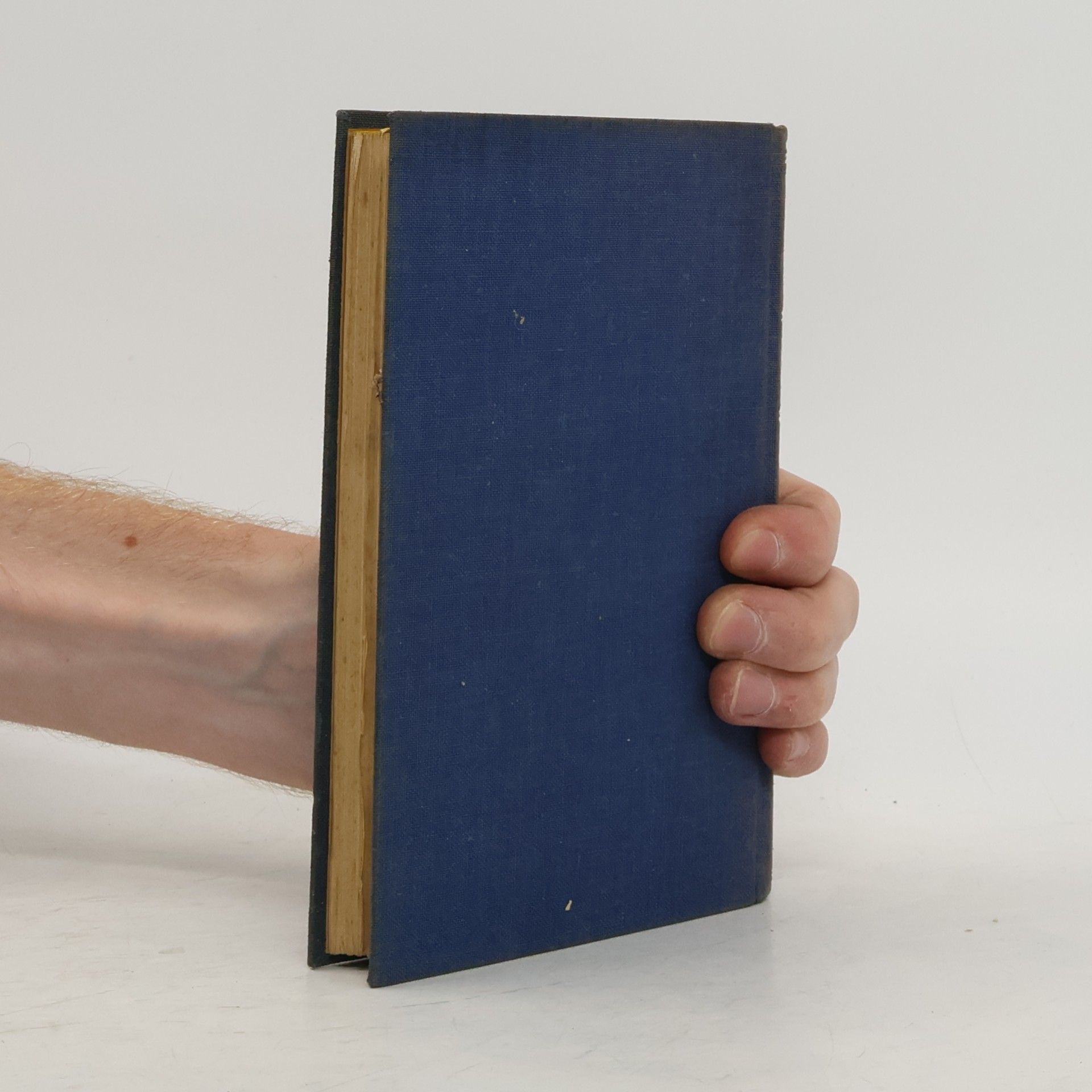 Charles Dickens Život a osudy Davida Copperfielda IV