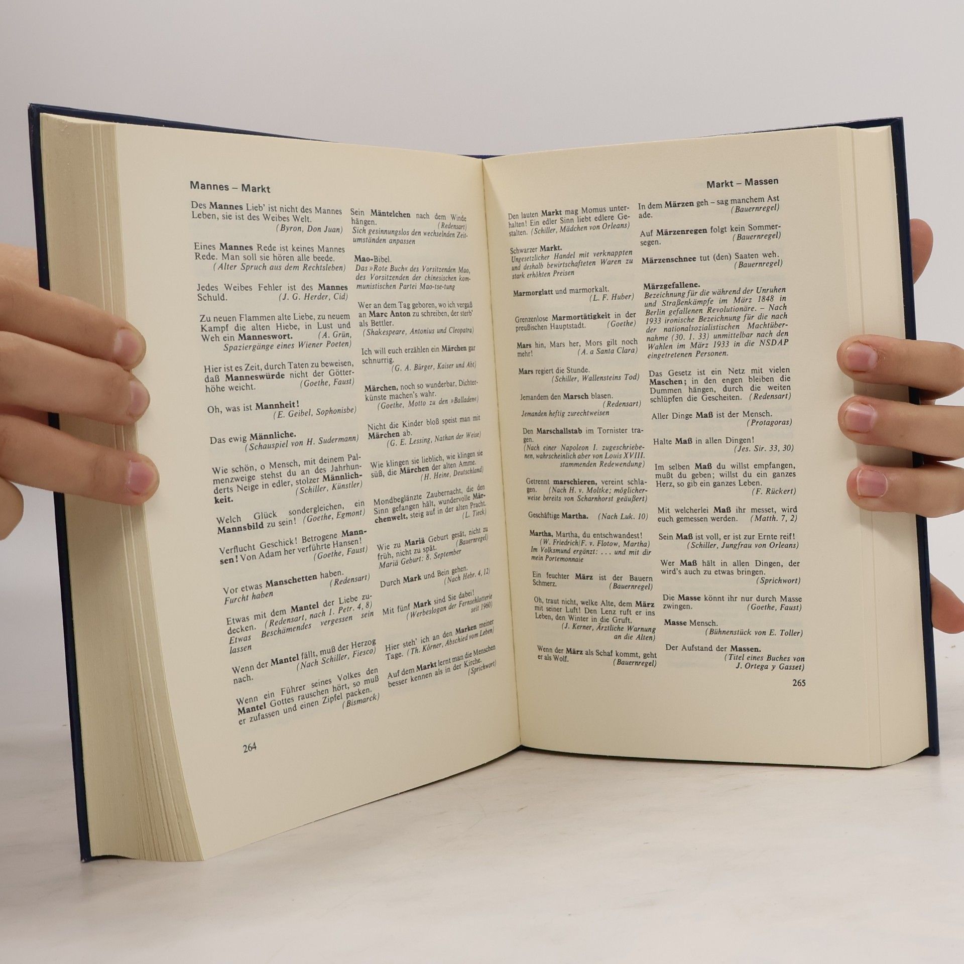 Gerhard Hellwig Das grosse Buch der Zitate