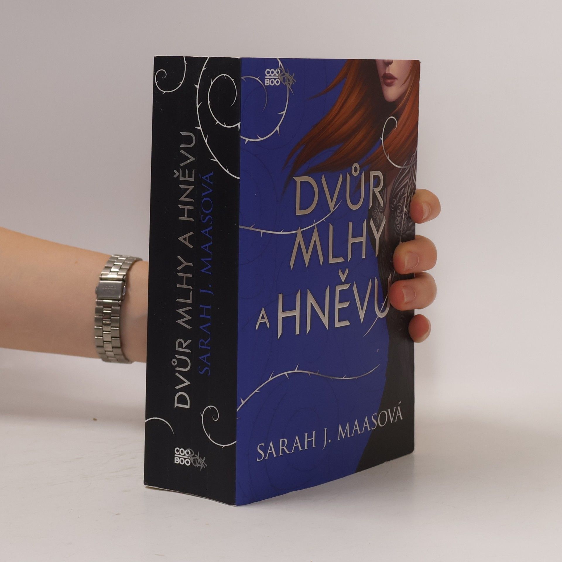 Sarah J. Maas Dvůr mlhy a hněvu
