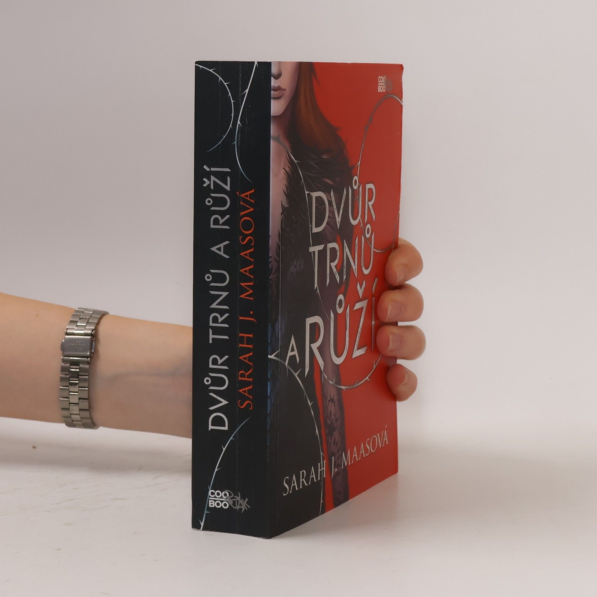 Sarah J. Maas Dvůr trnů a růží