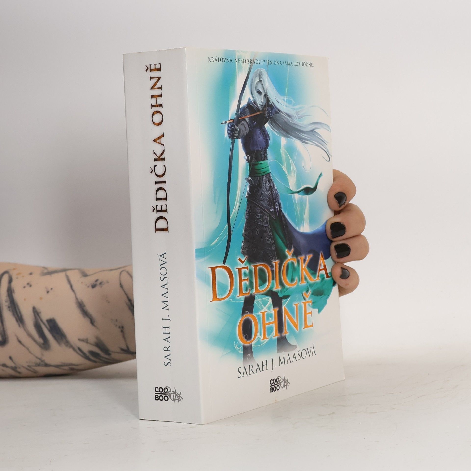 Sarah J. Maas Dědička ohně