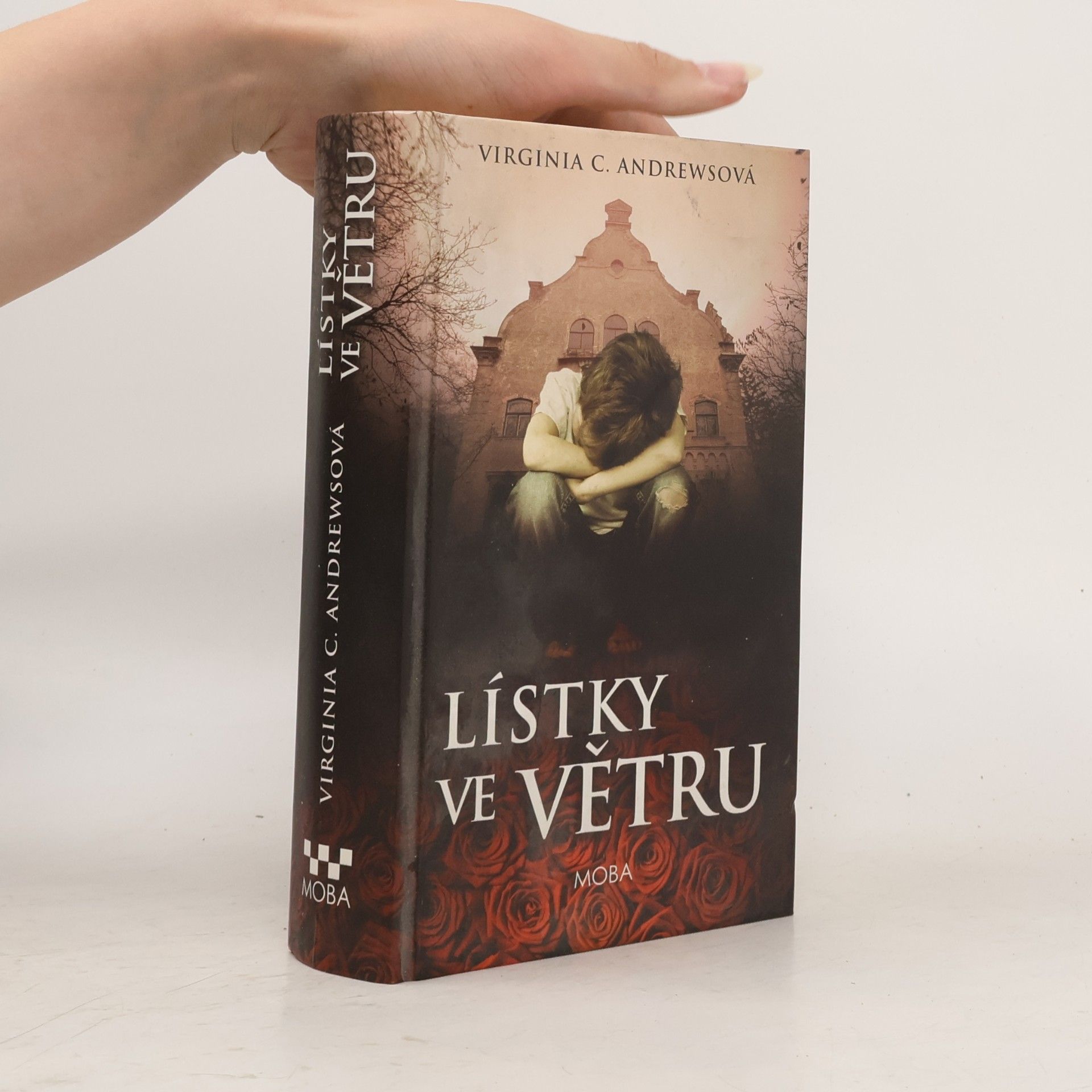 V. C. Andrews Lístky ve větru