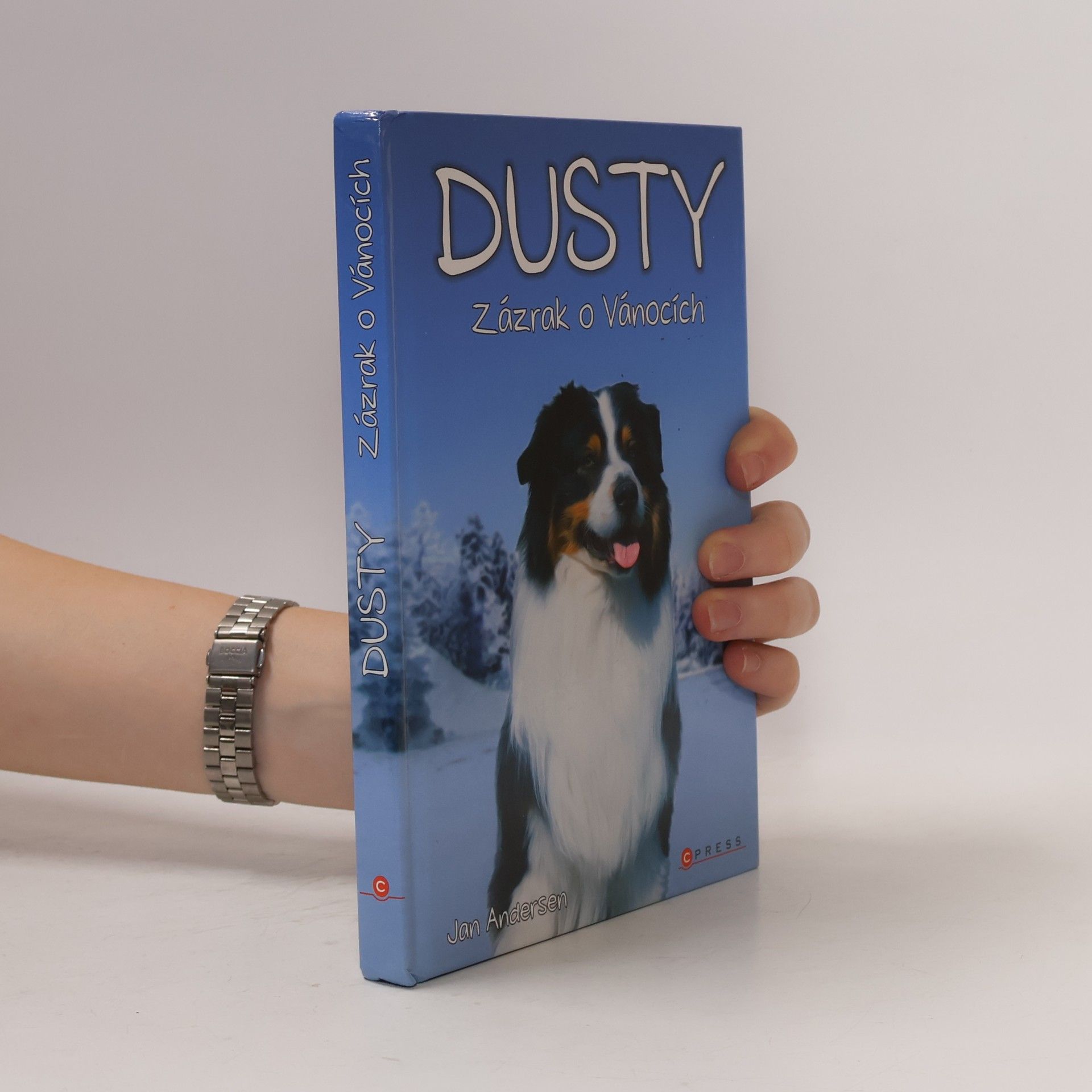 Wolfram Hänel Dusty: Zázrak o Vánocích
