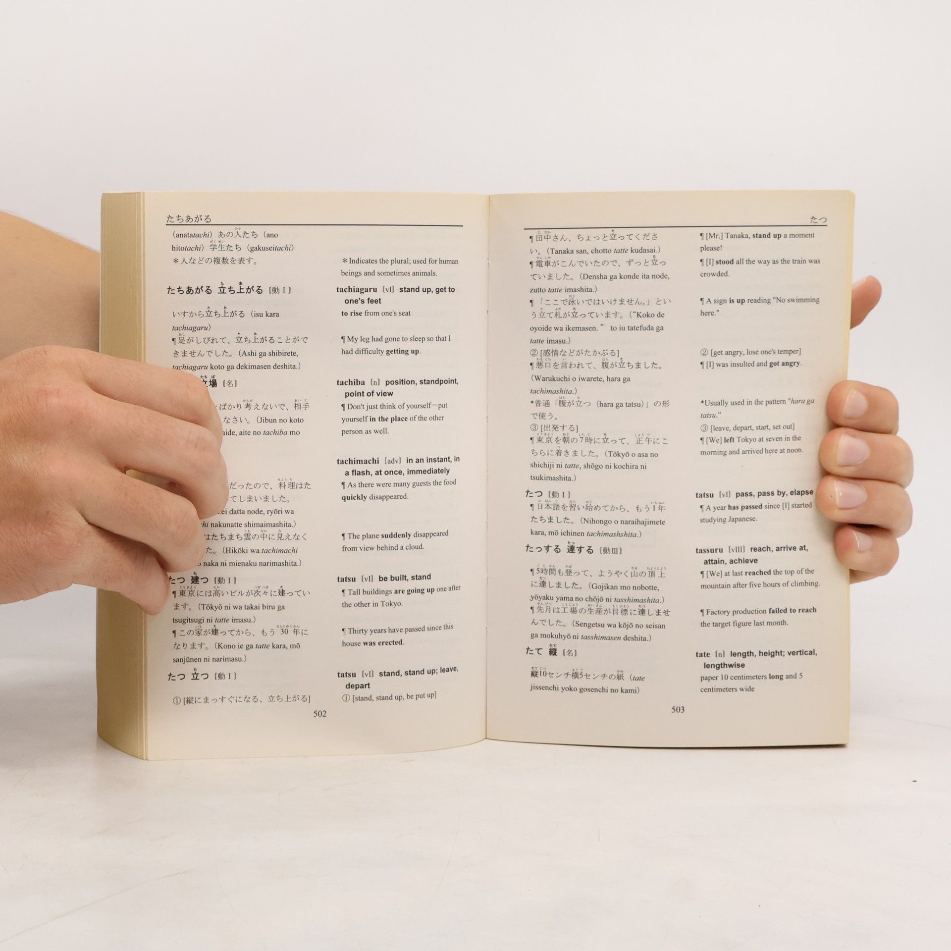 The Japan Foundation Basic Japanese-English Dictionary