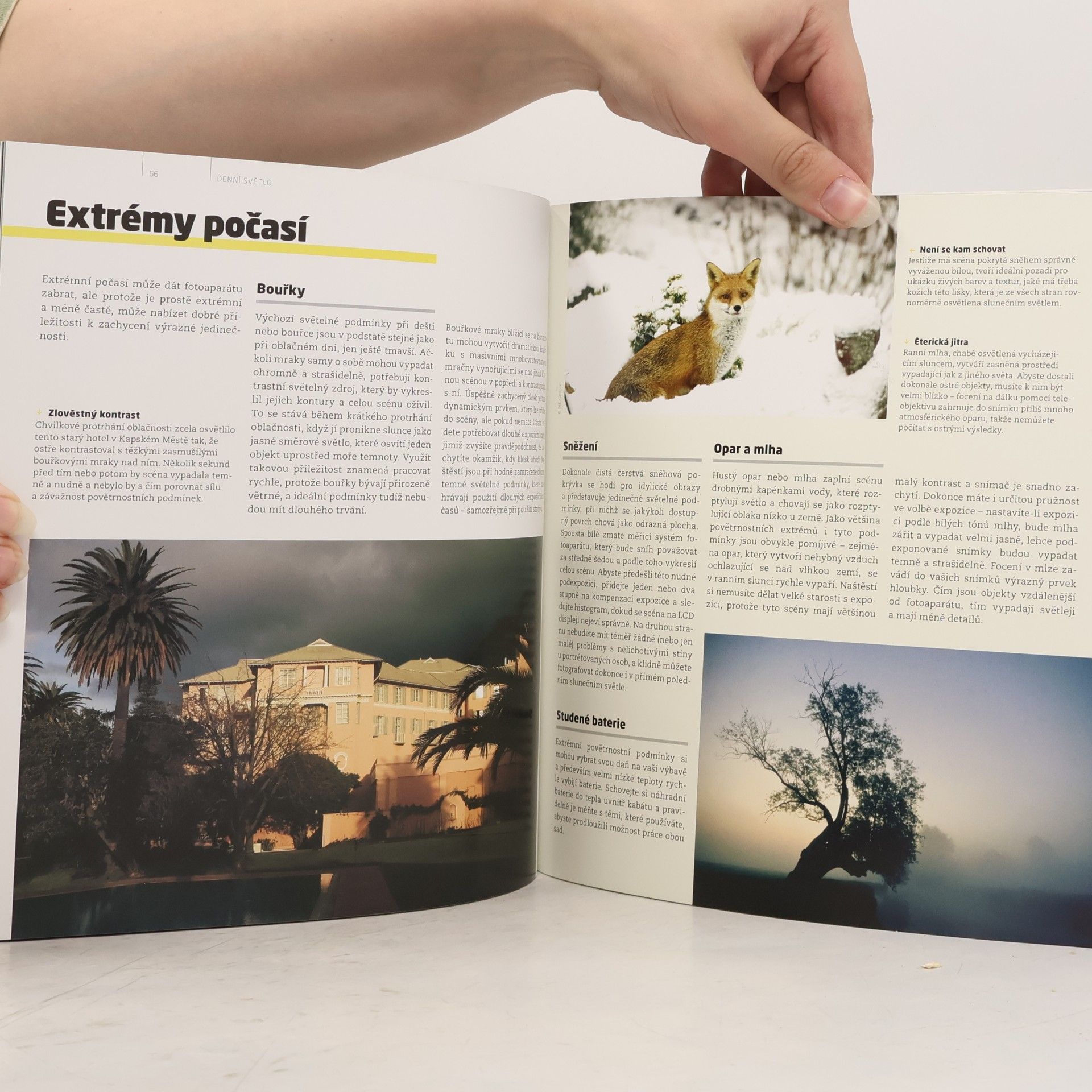 Michael Freeman Světlo a svícení - Fotografie v praxi