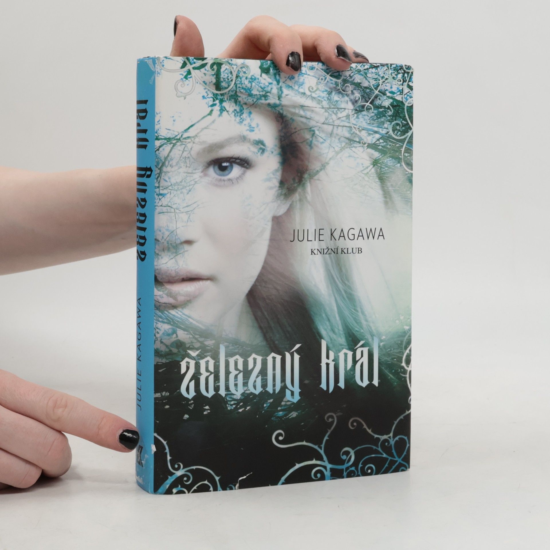 Julie Kagawa Železný král