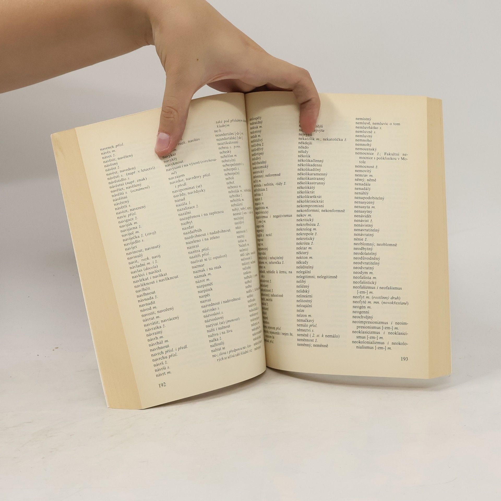 Autorenkollektiv Pravidla českého pravopisu