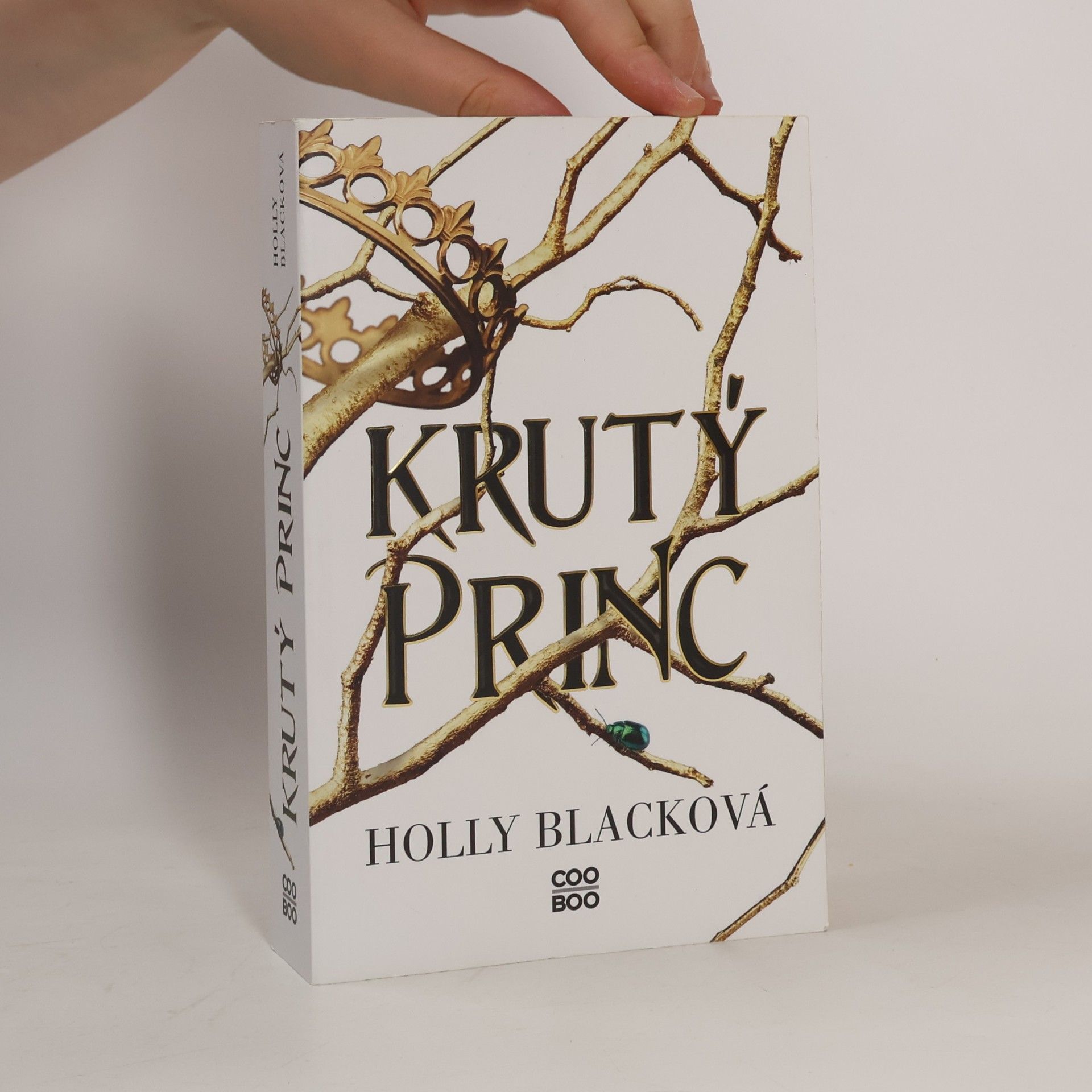 Holly Black Krutý princ