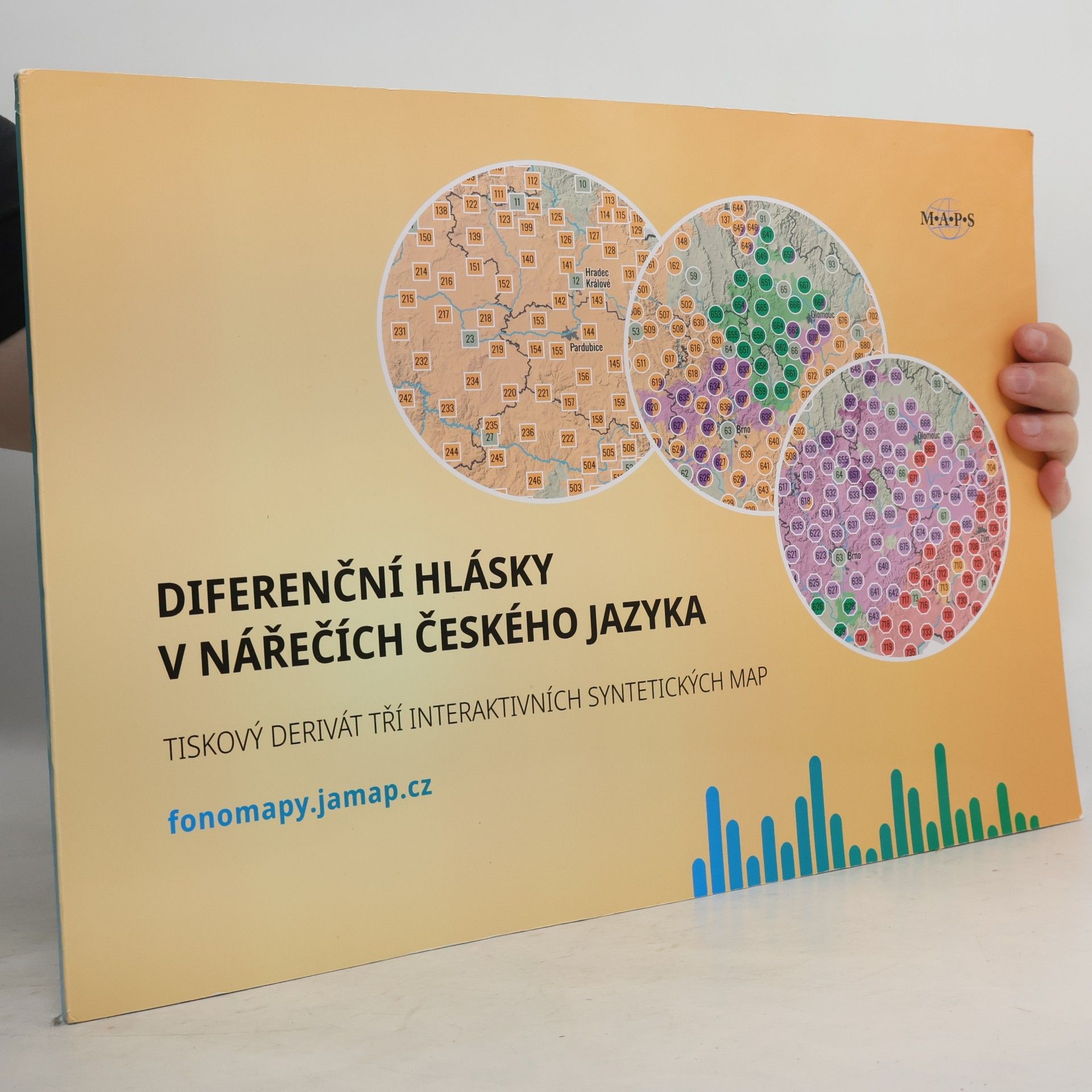 Kolektív autorov Diferenční hlásky v nářečích českého jazyka