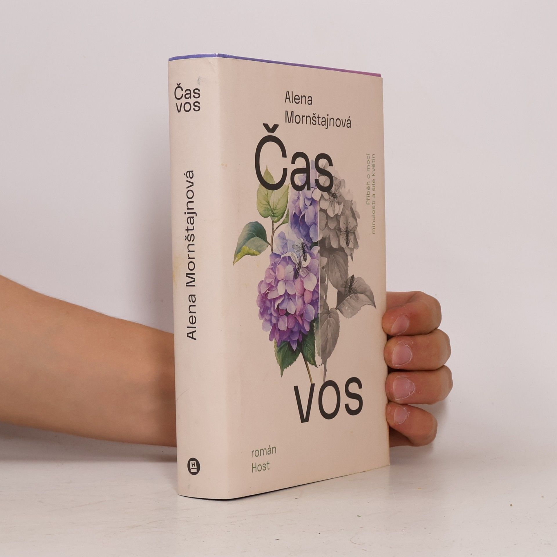 Alena Mornštajnová Čas vos