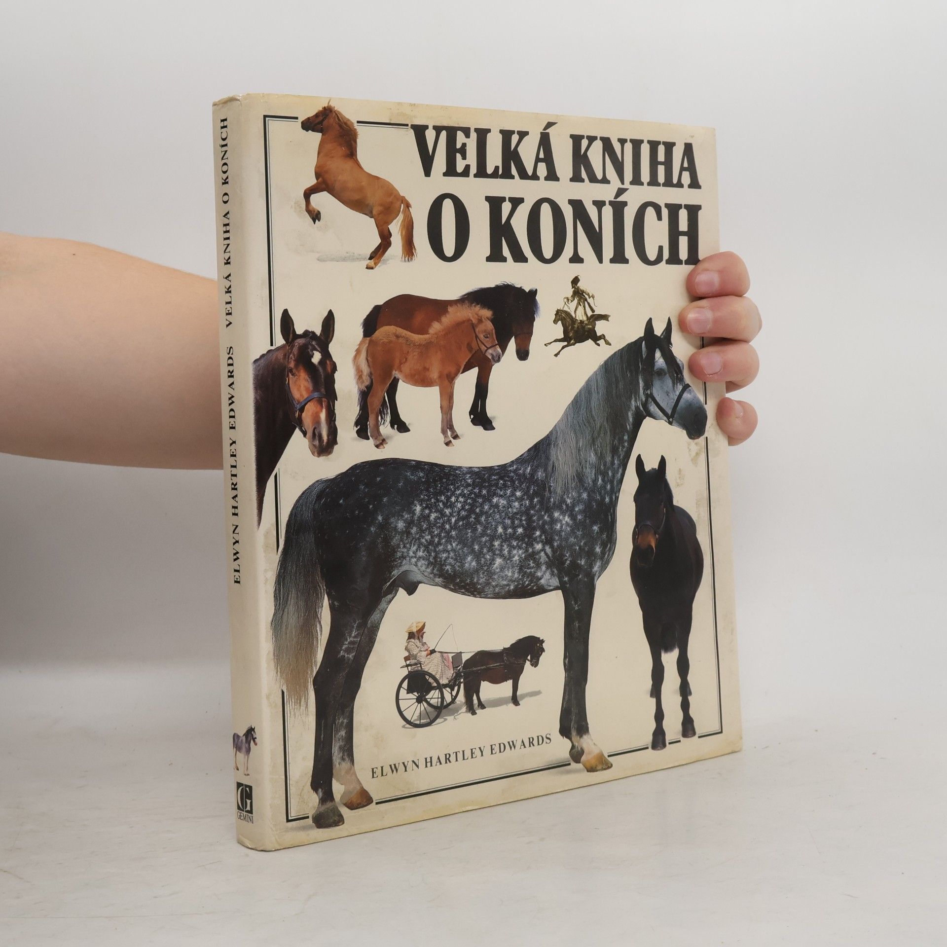 Elwyn Hartley Edwards Velká kniha o koních