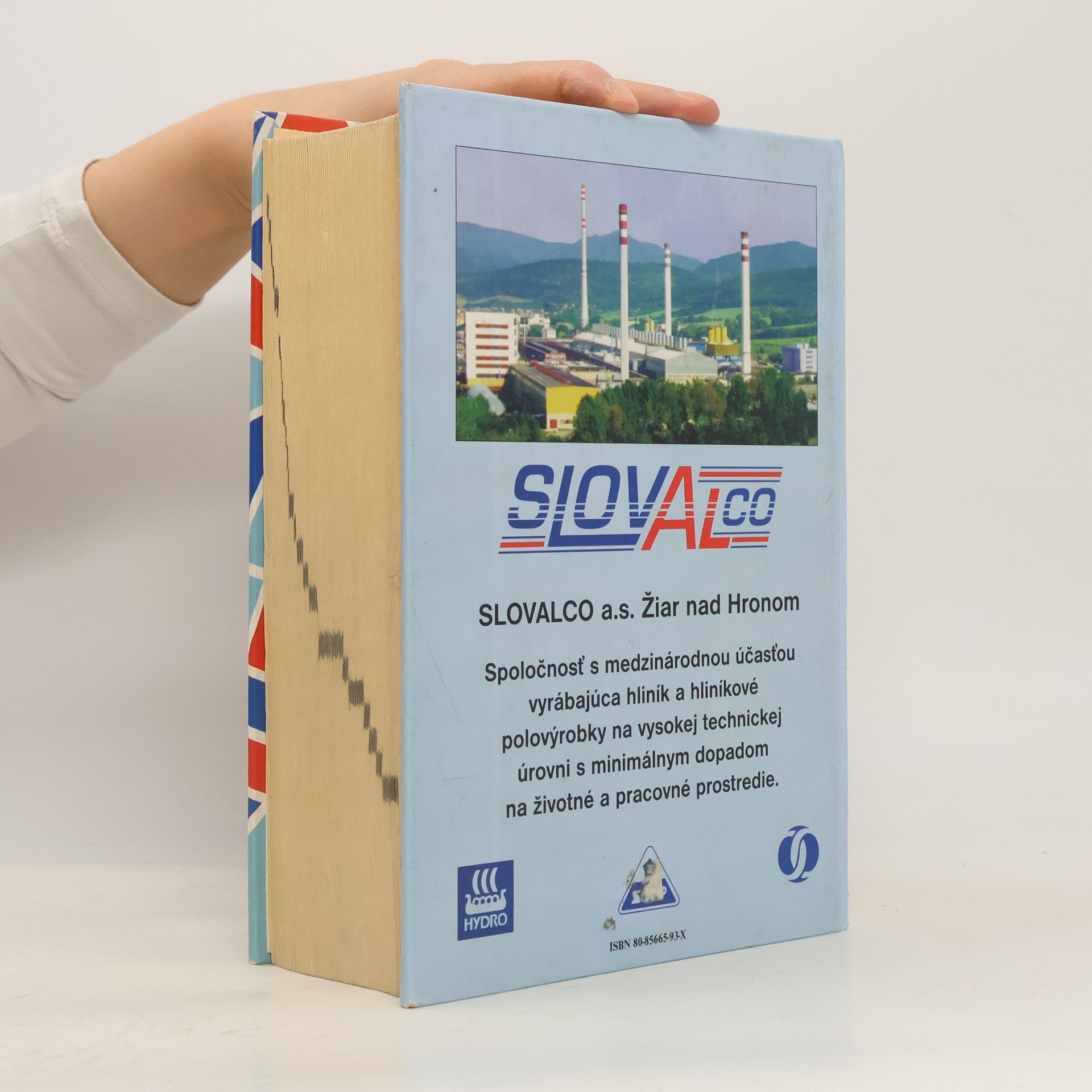 Collectif d'auteurs Slovensko-anglický slovník