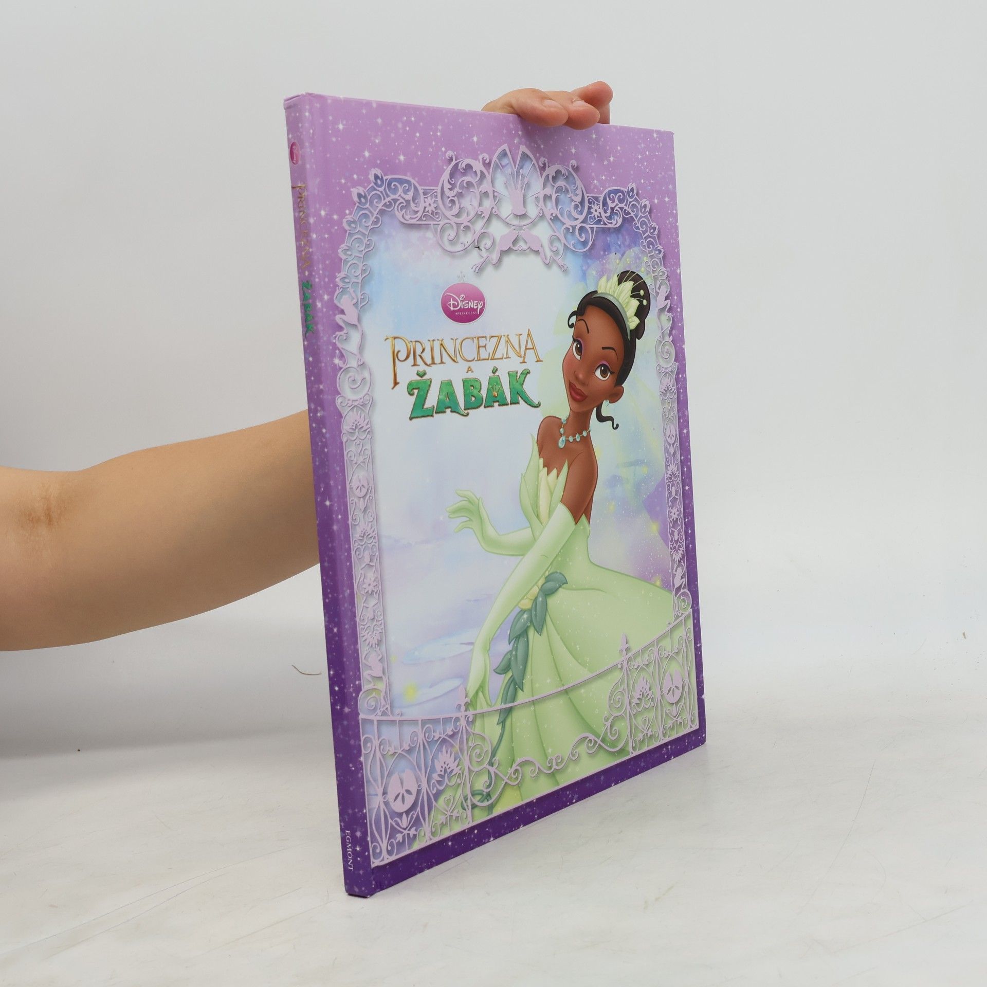 Lisa Ann Marsoli Princezna a žabák