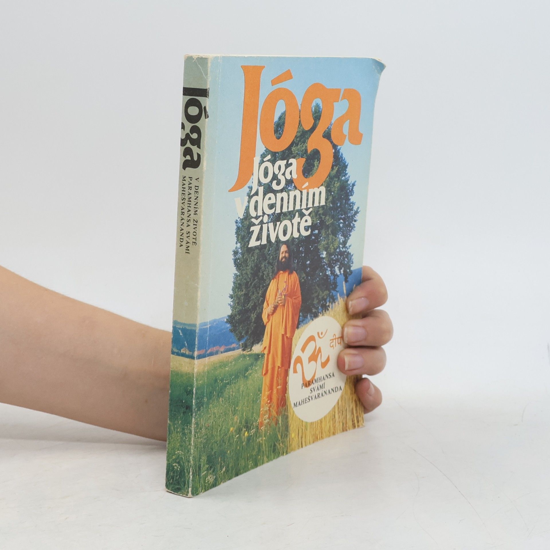 Swami Maheshwarananda Jóga v denním životě