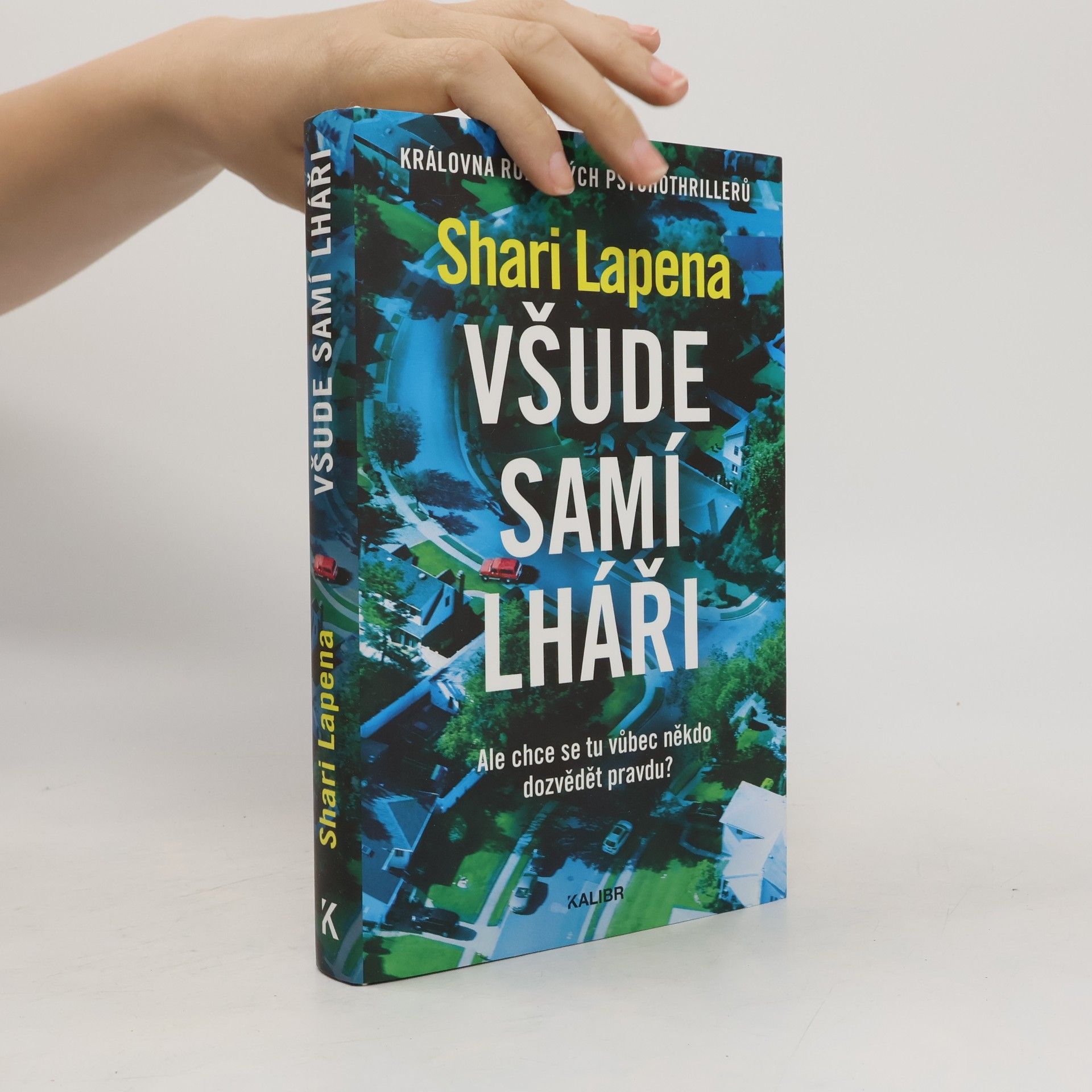 Shari Lapena Všude samí lháři