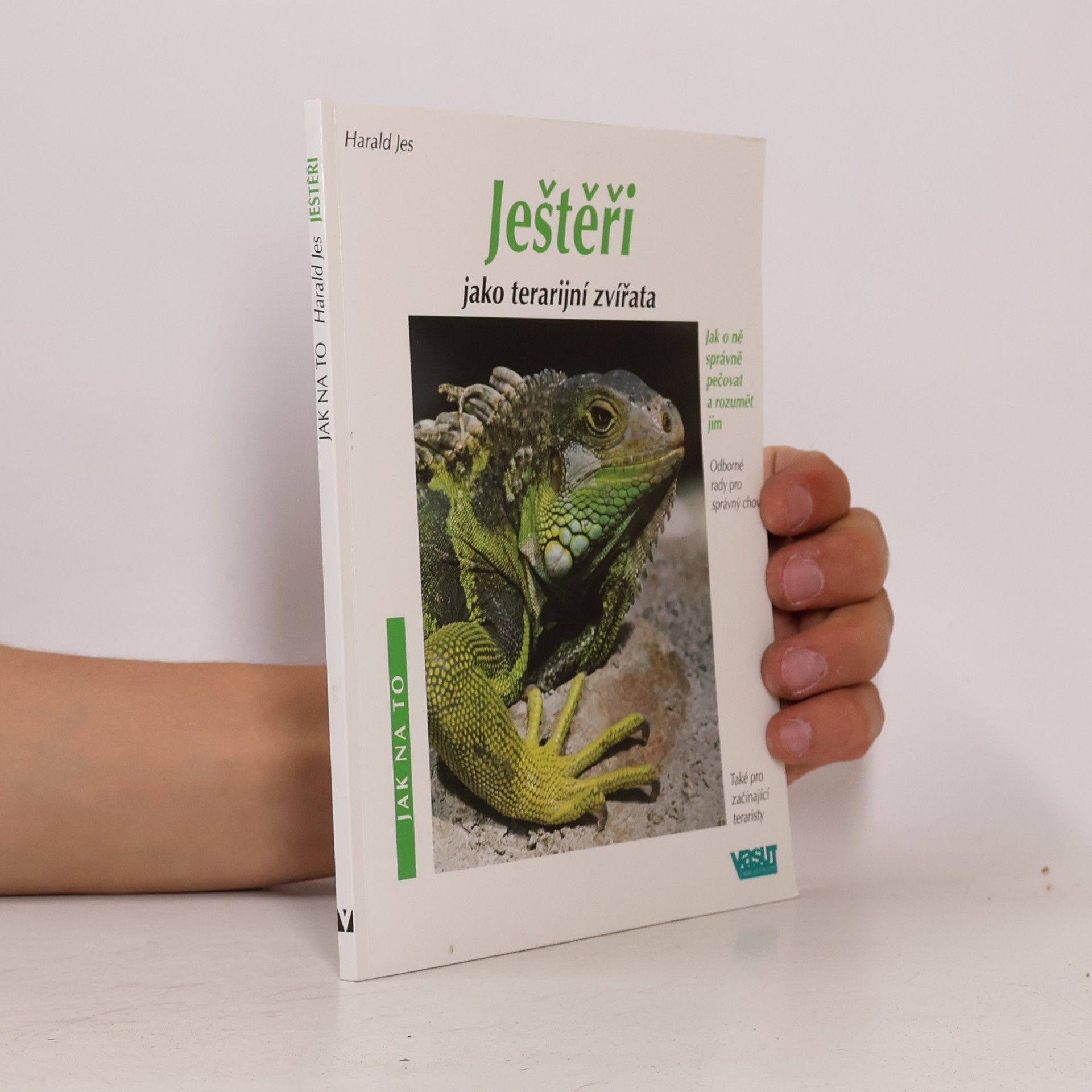 Ještěři jako terarijní zvířata